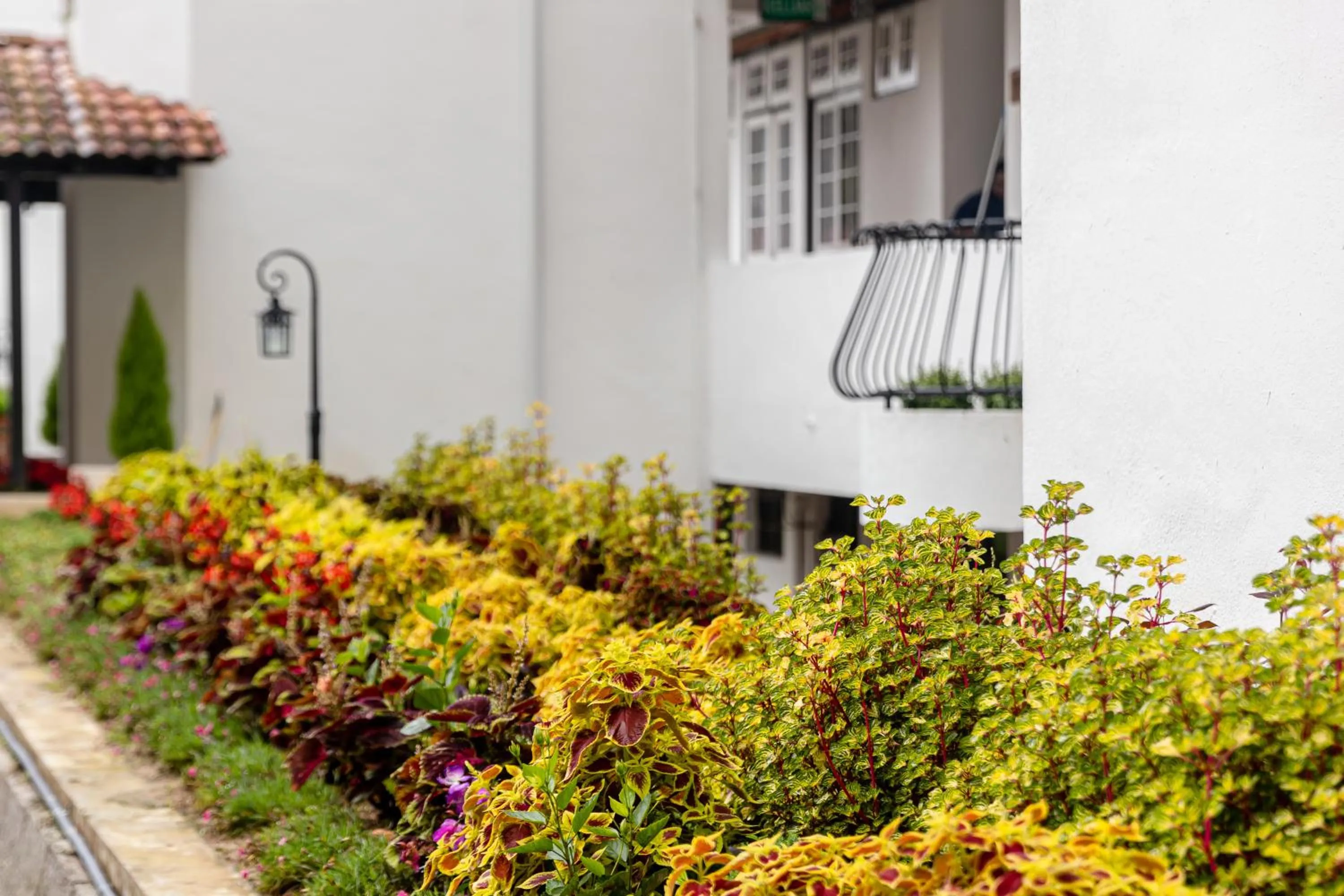 Property building in SPRINGHILL RESORT