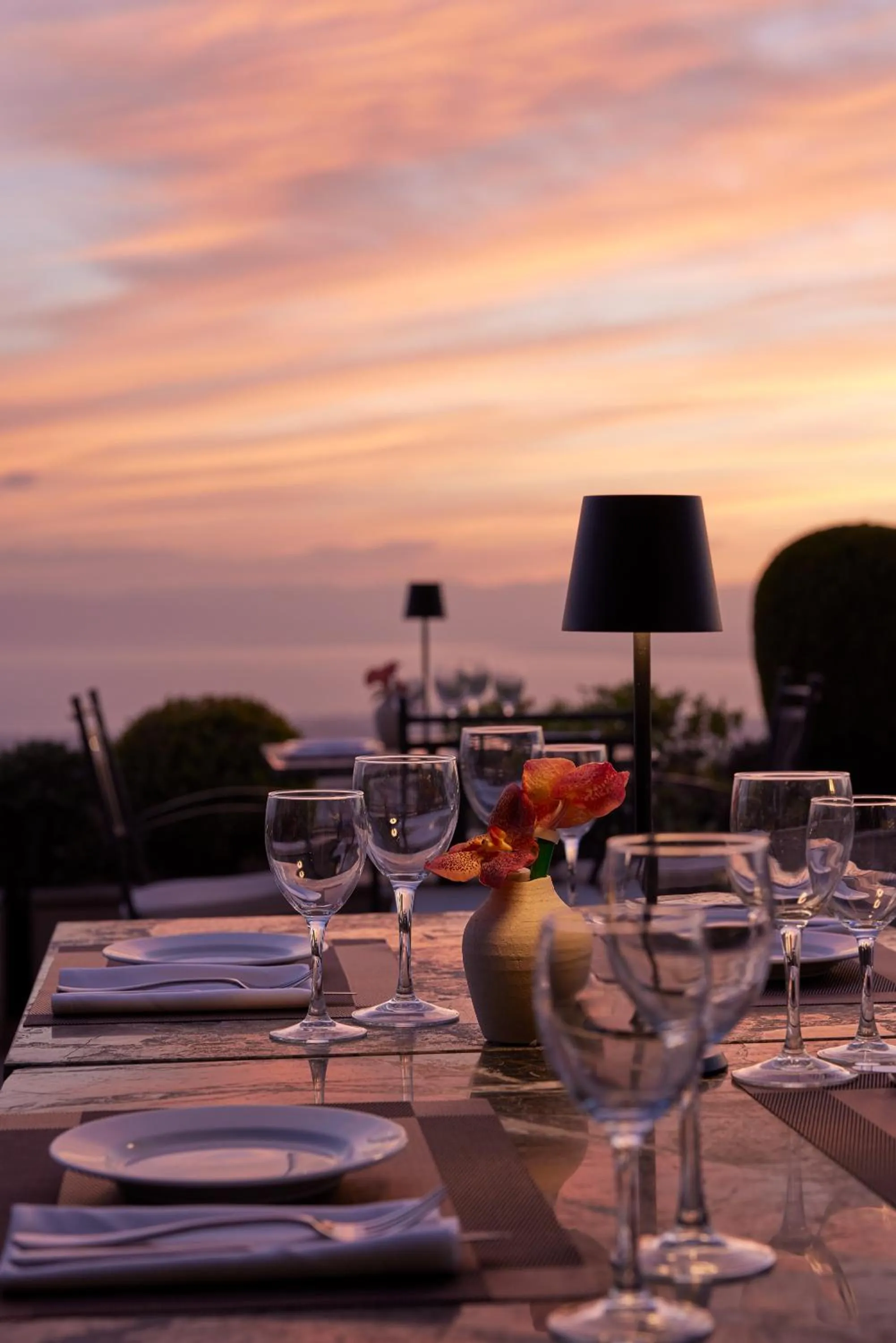 Food and drinks in Hotel Panorama