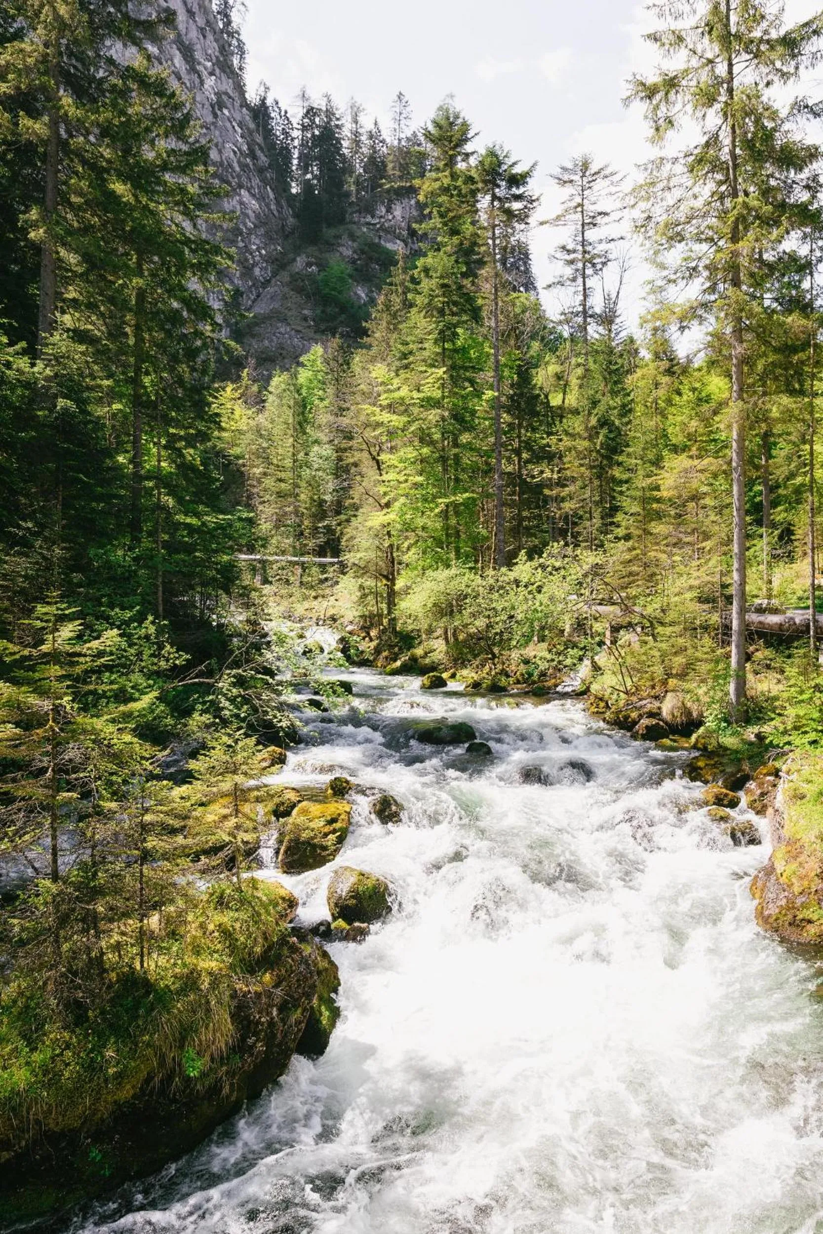 Natural landscape in TRIFORÊT alpin resort