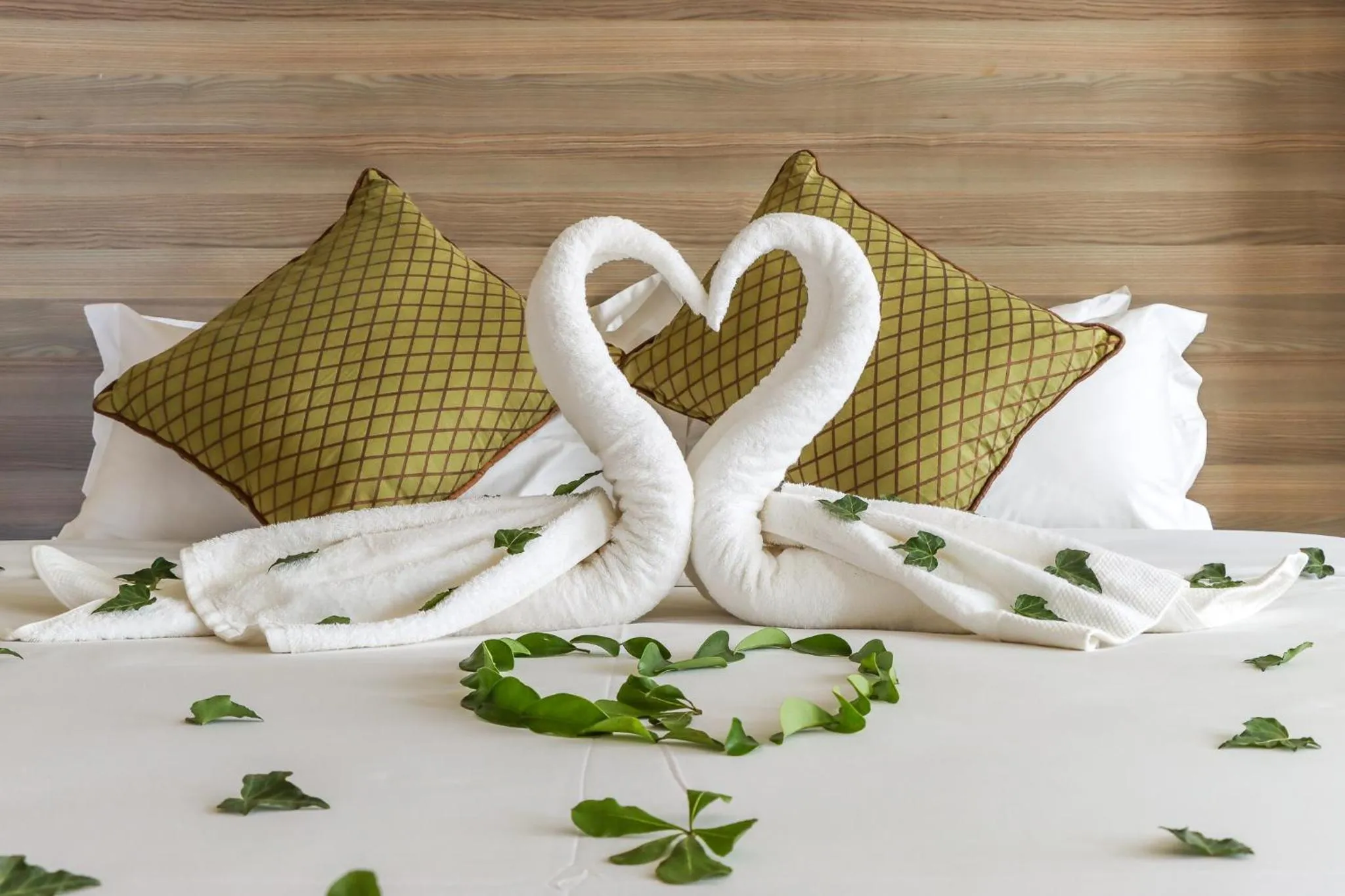 towels, Bed in Dallas Premiere Hotel
