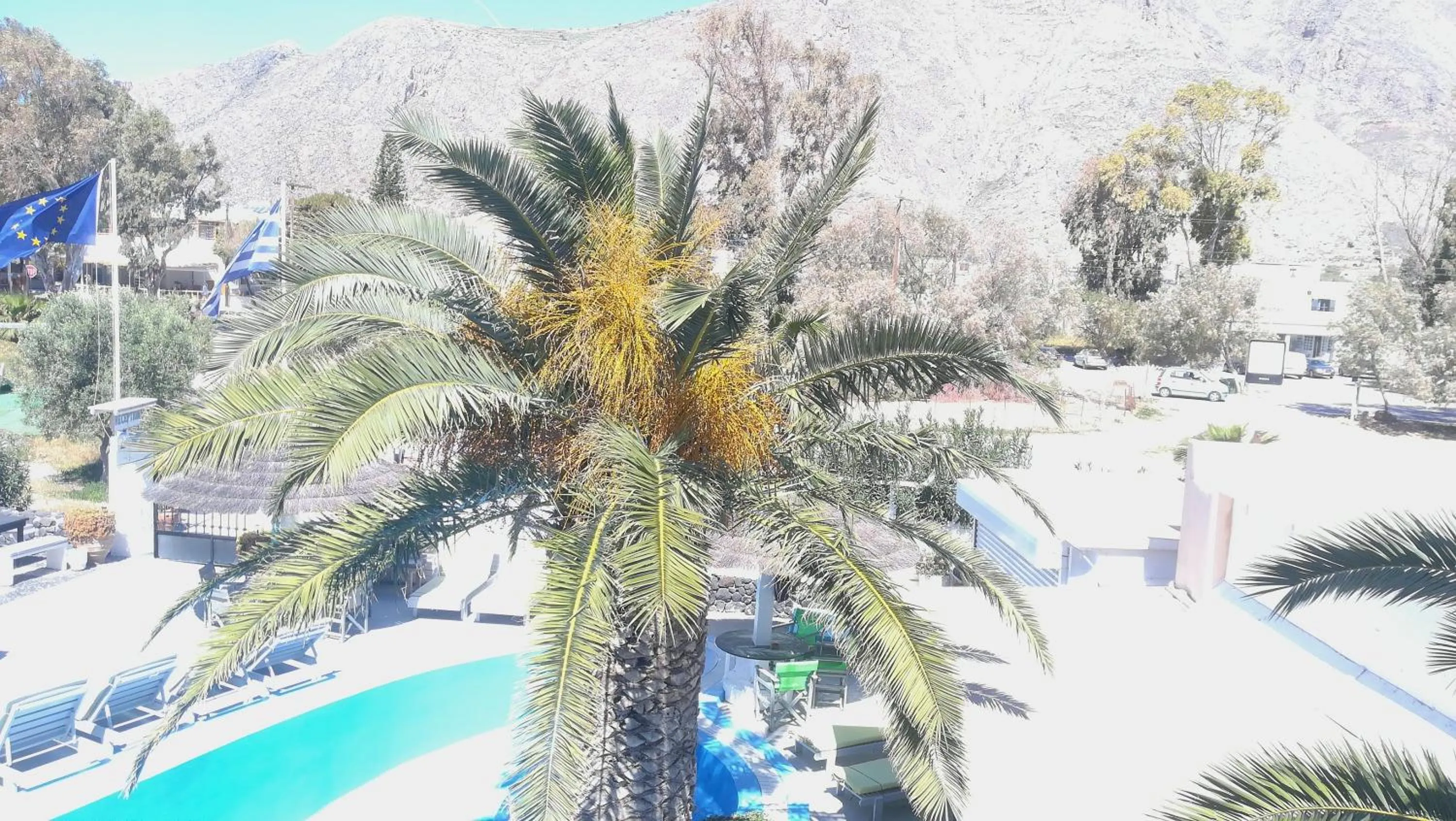 Pool view in The Best