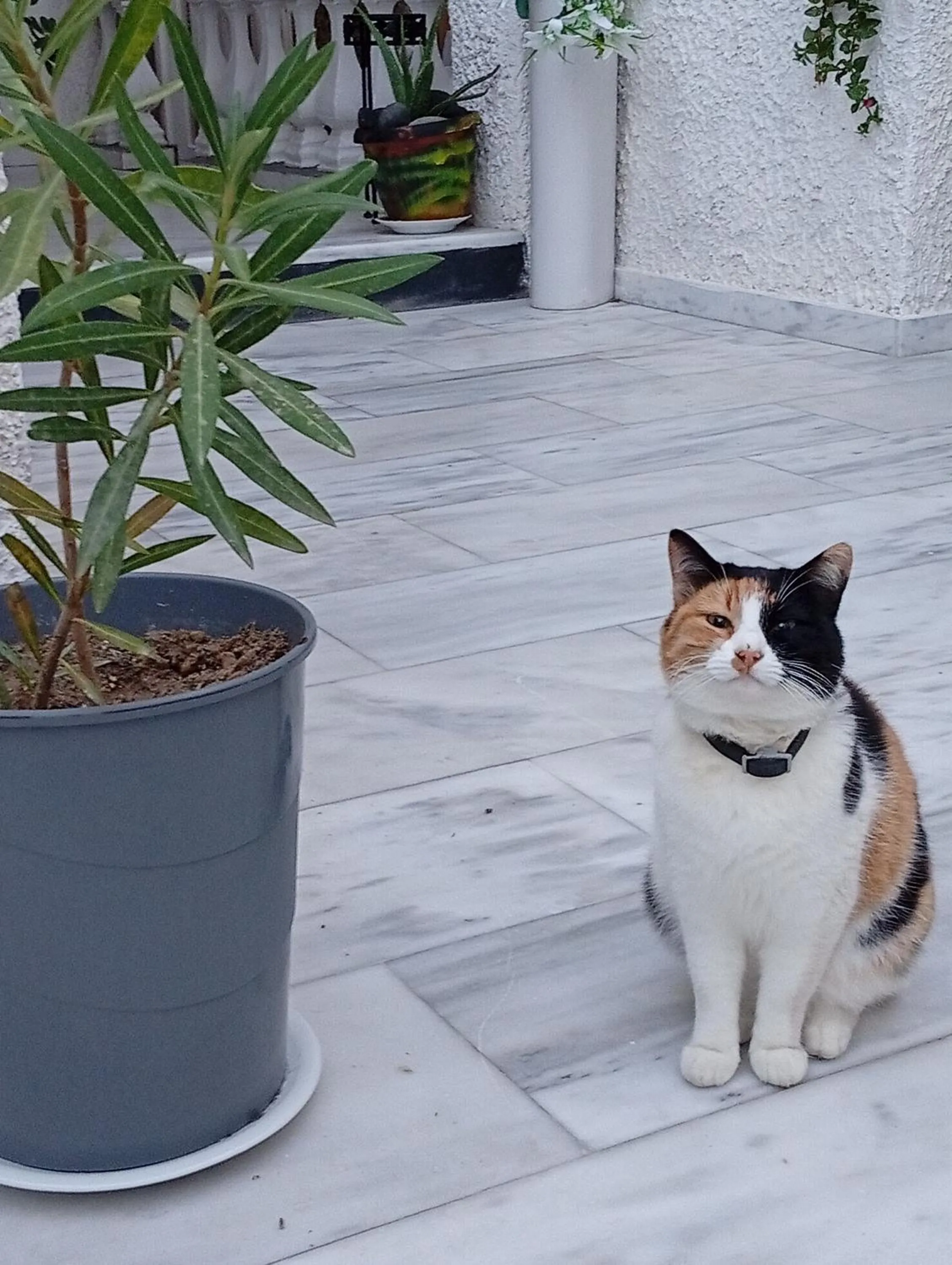 Property building in The Best