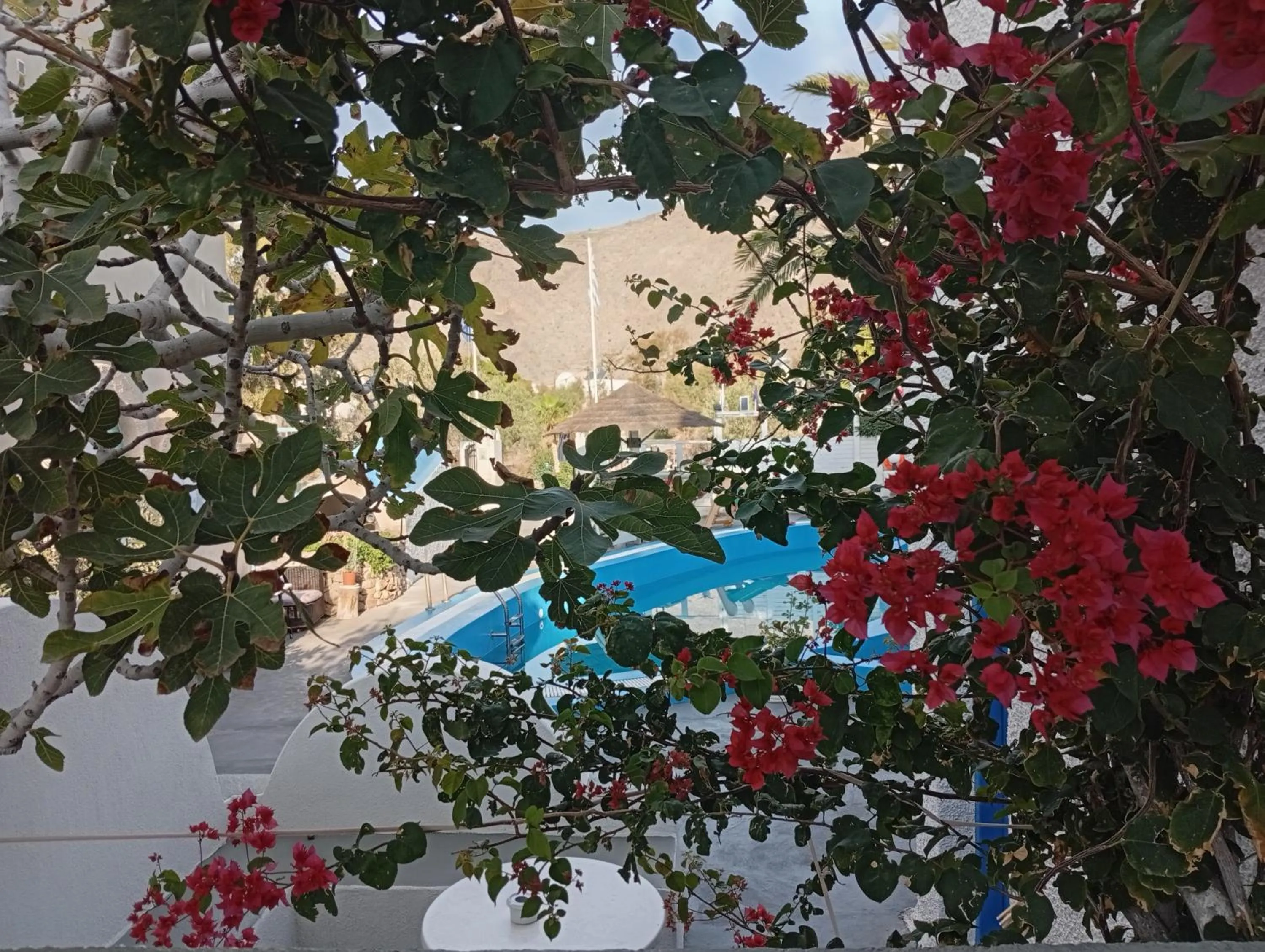 Garden view in The Best