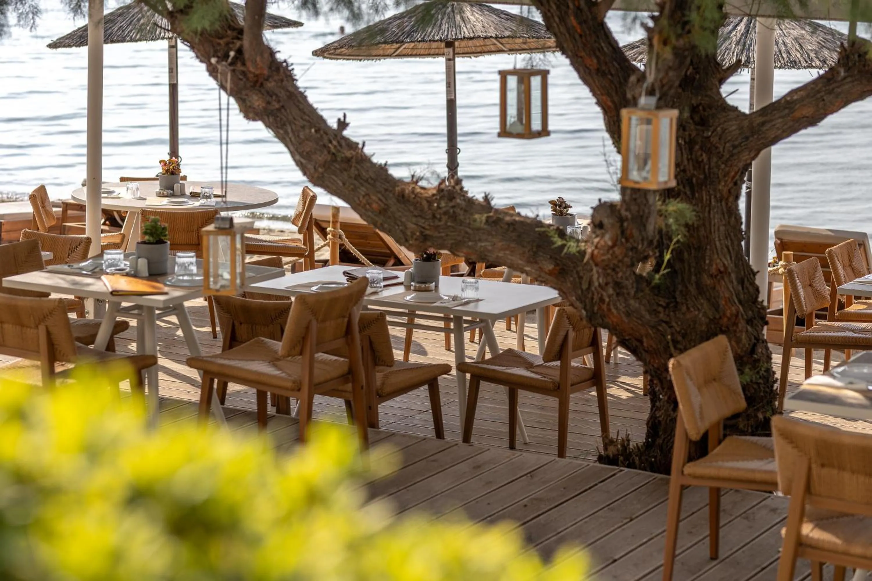 Restaurant/places to eat in Golden Star City Resort