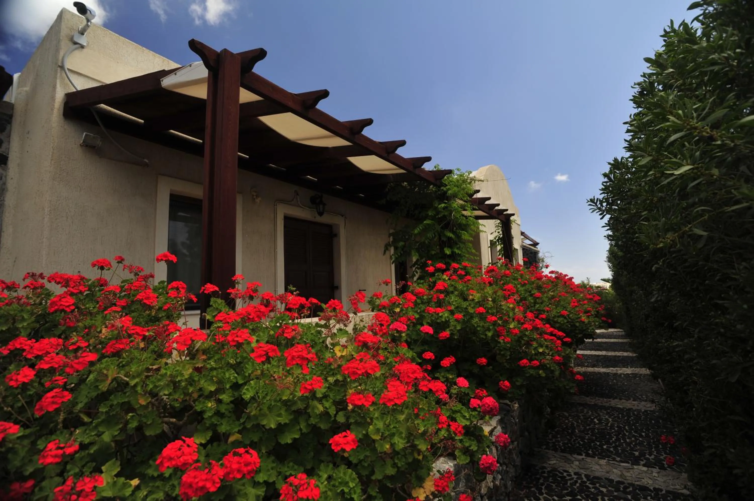 Garden in Birds Villa Apartments with Heated Pool - Including Car and Breakfast