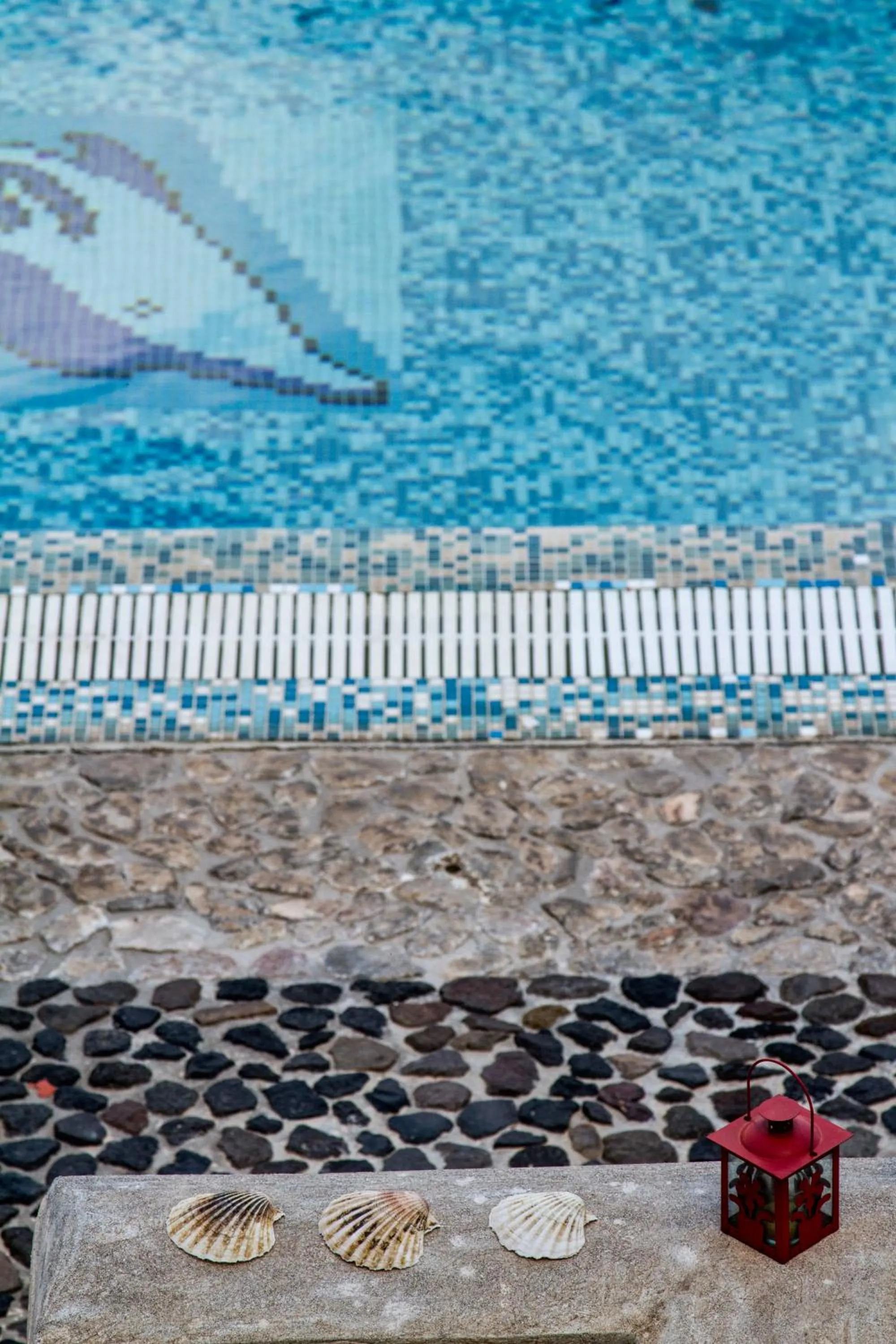Swimming pool in Birds Villa Apartments with Heated Pool - Including Car and Breakfast