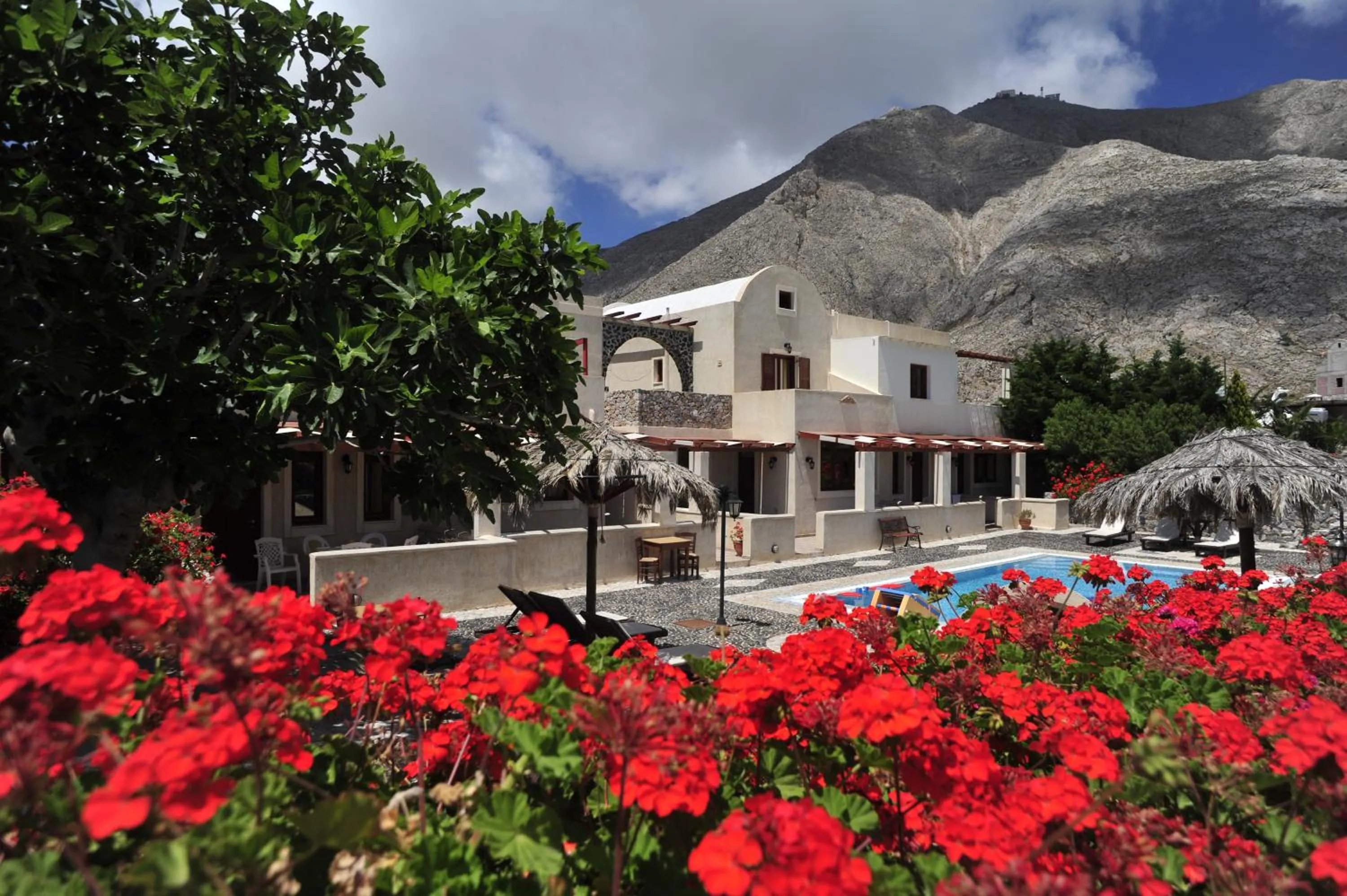 Garden in Birds Villa Apartments with Heated Pool - Including Car and Breakfast