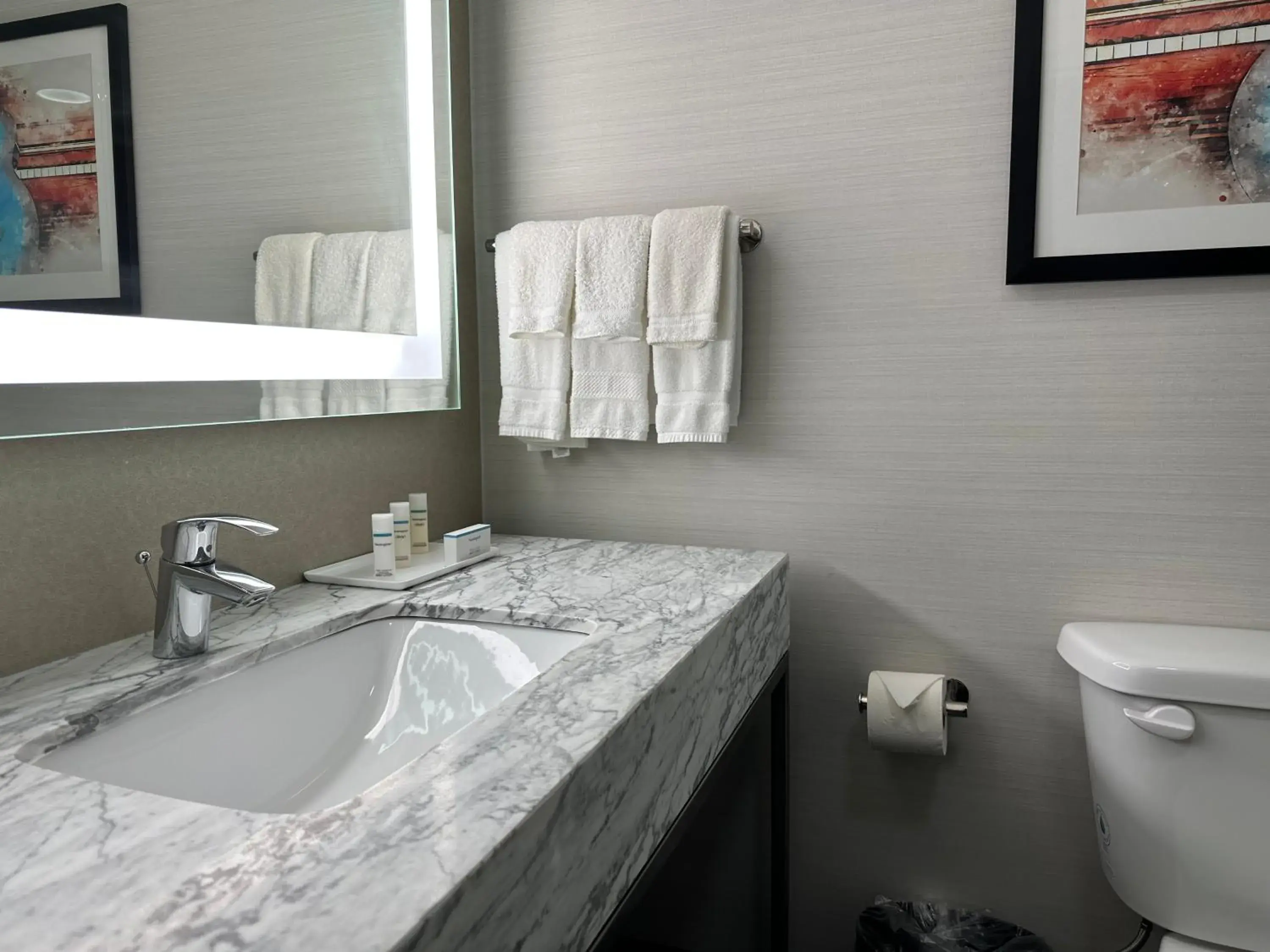 Bathroom in Crowne Plaza Nashville Airport by IHG Bathroom in Crowne Plaza Nashville Airport by IHG