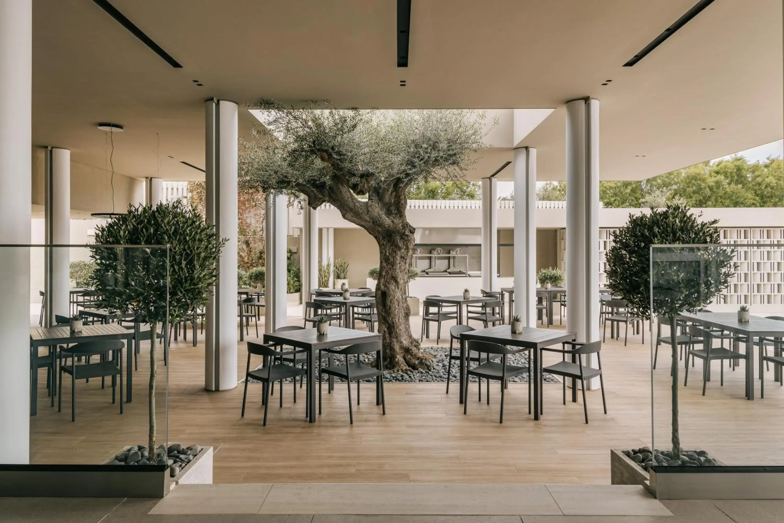 Restaurant/places to eat in Divani Apollon Palace & Thalasso Restaurant/places to eat in Divani Apollon Palace & Thalasso