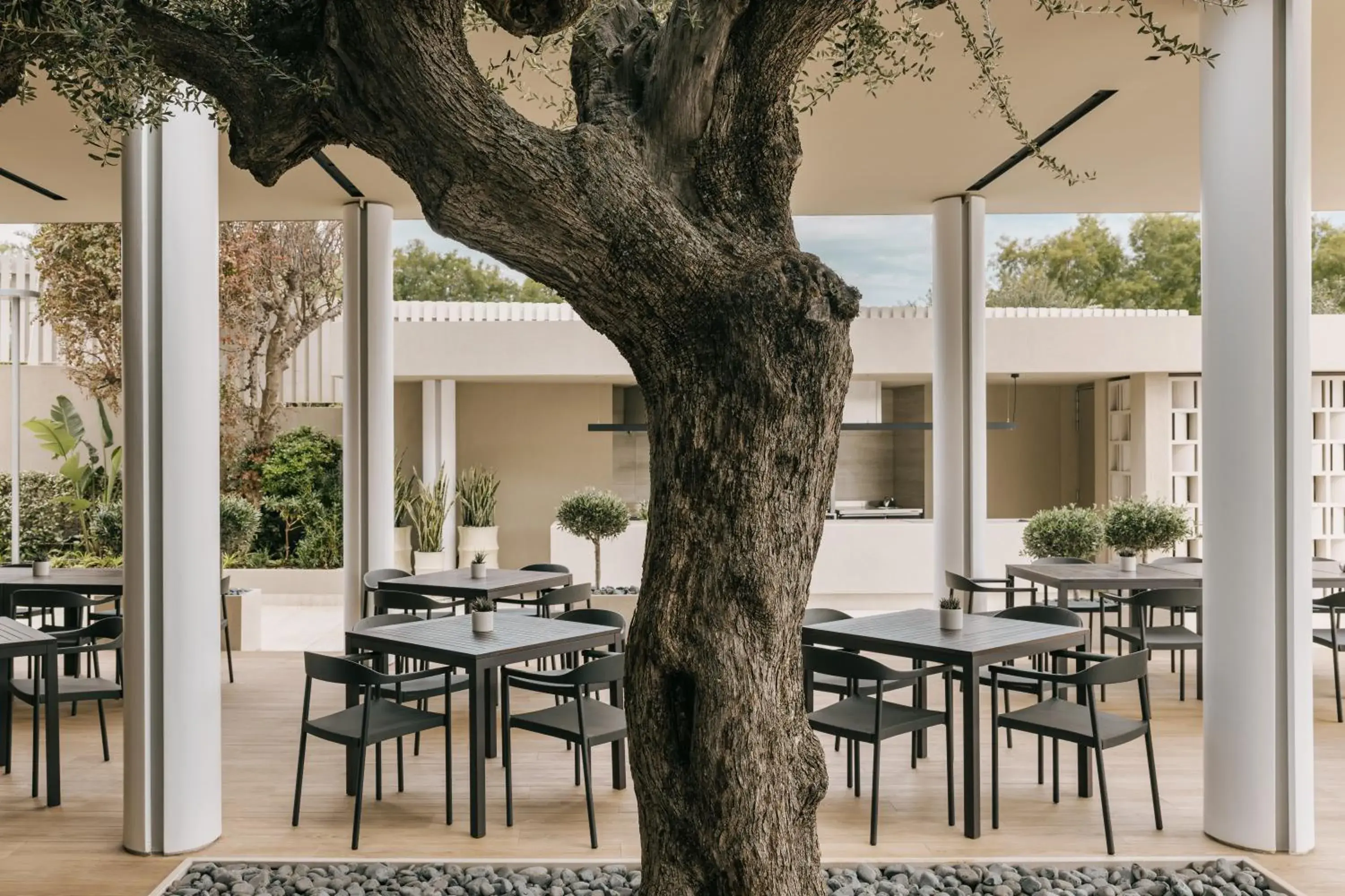 Restaurant/places to eat in Divani Apollon Palace & Thalasso Restaurant/places to eat in Divani Apollon Palace & Thalasso