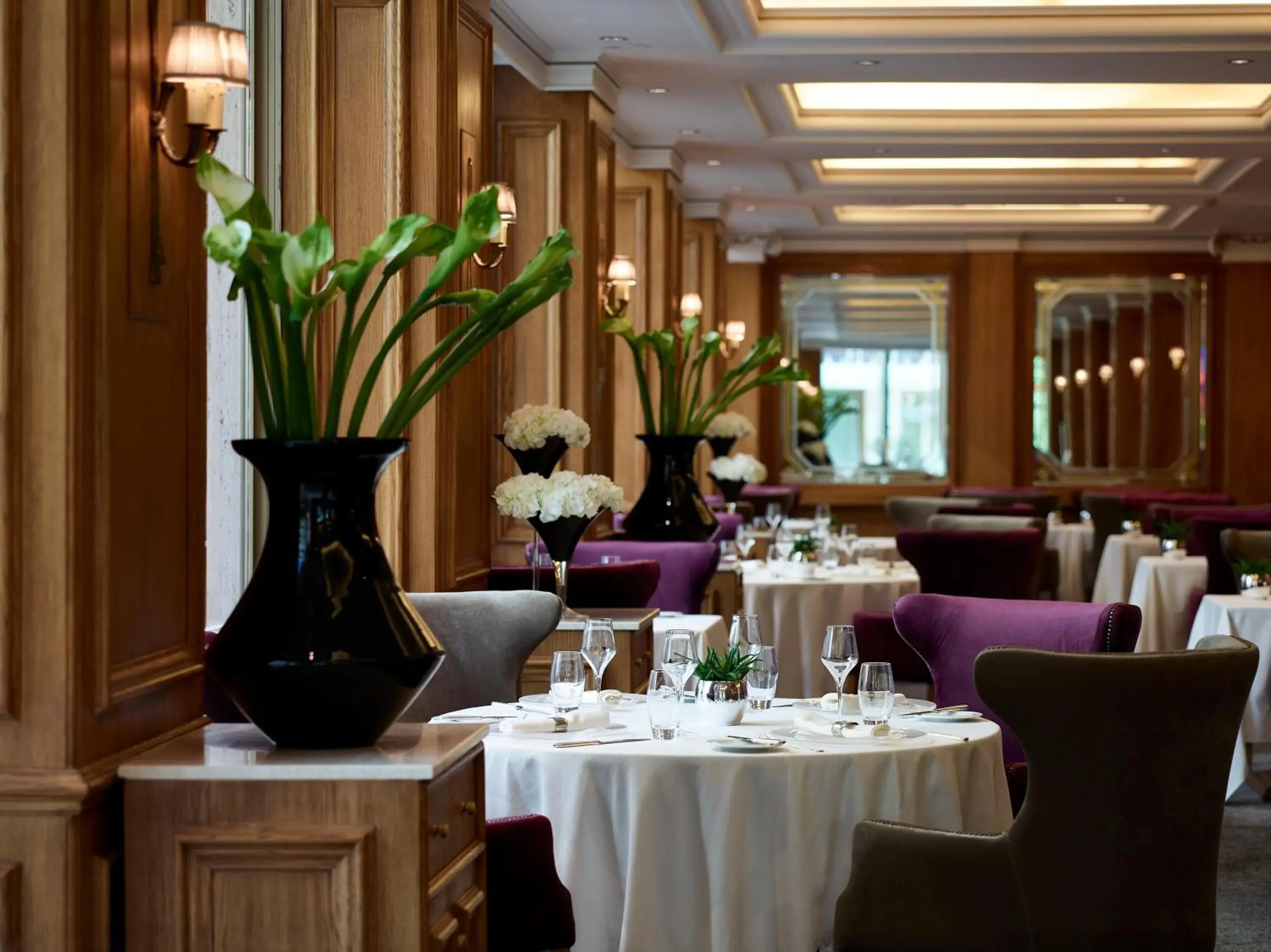 Restaurant/places to eat in NJV Athens Plaza Restaurant/places to eat in NJV Athens Plaza