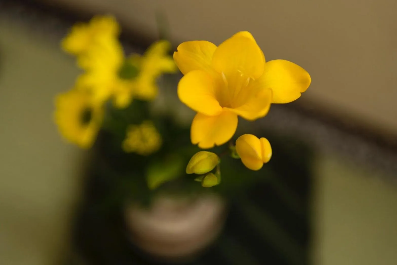 Decorative detail in Japanese Onsen Ryokan Kohakuen