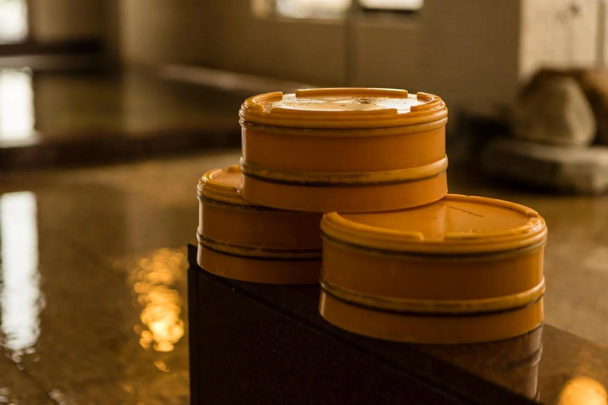 Hot Spring Bath in Japanese Onsen Ryokan Kohakuen