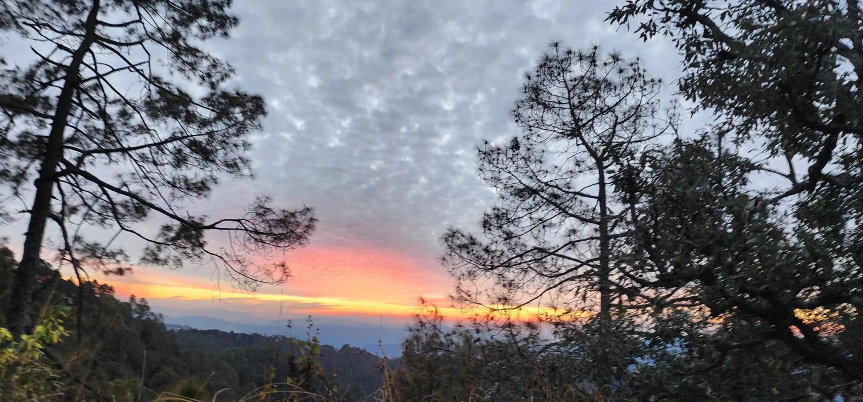 View (from property/room) in The Hill Paradise