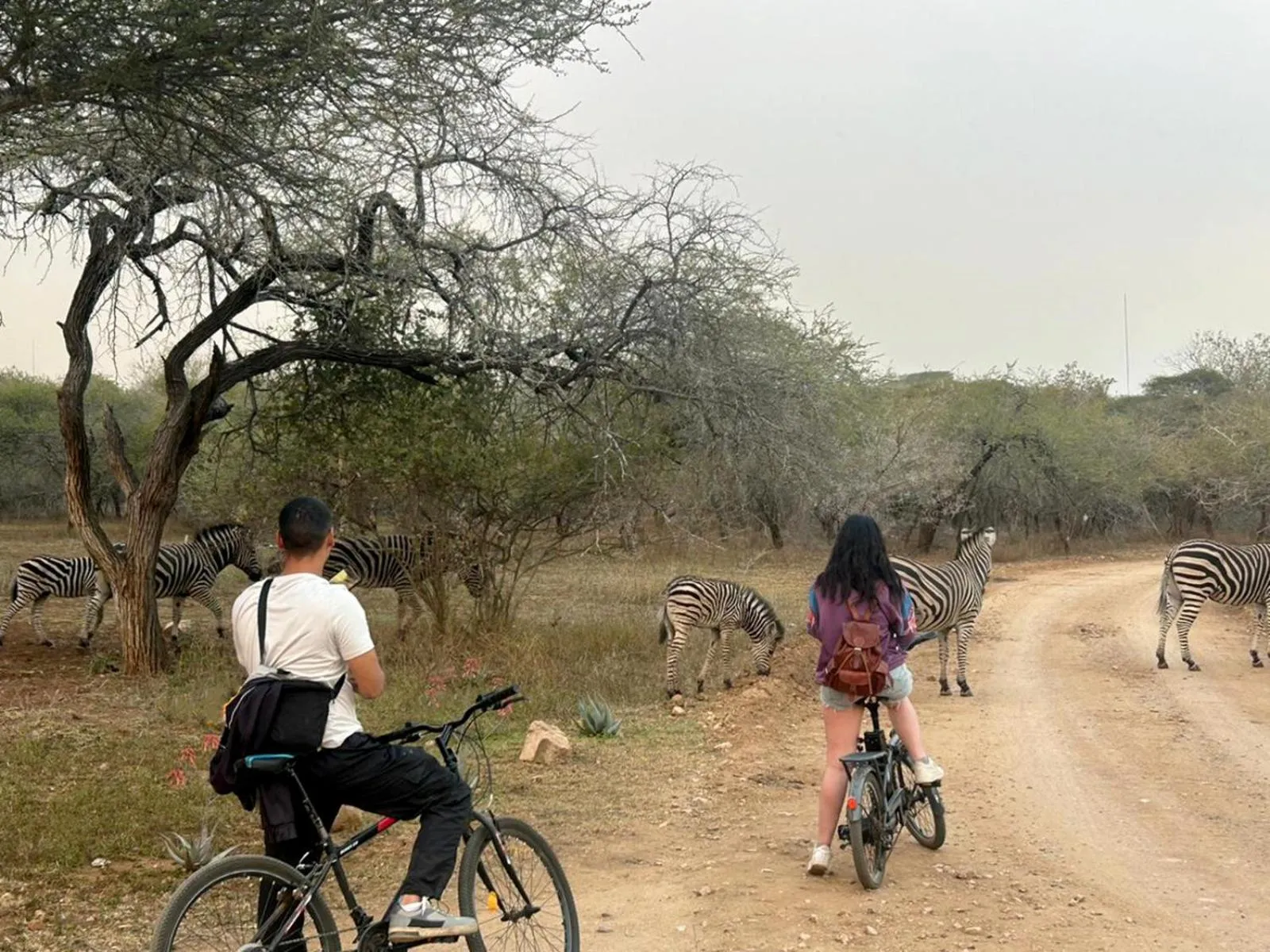 Activities in Kruger Park Hostel