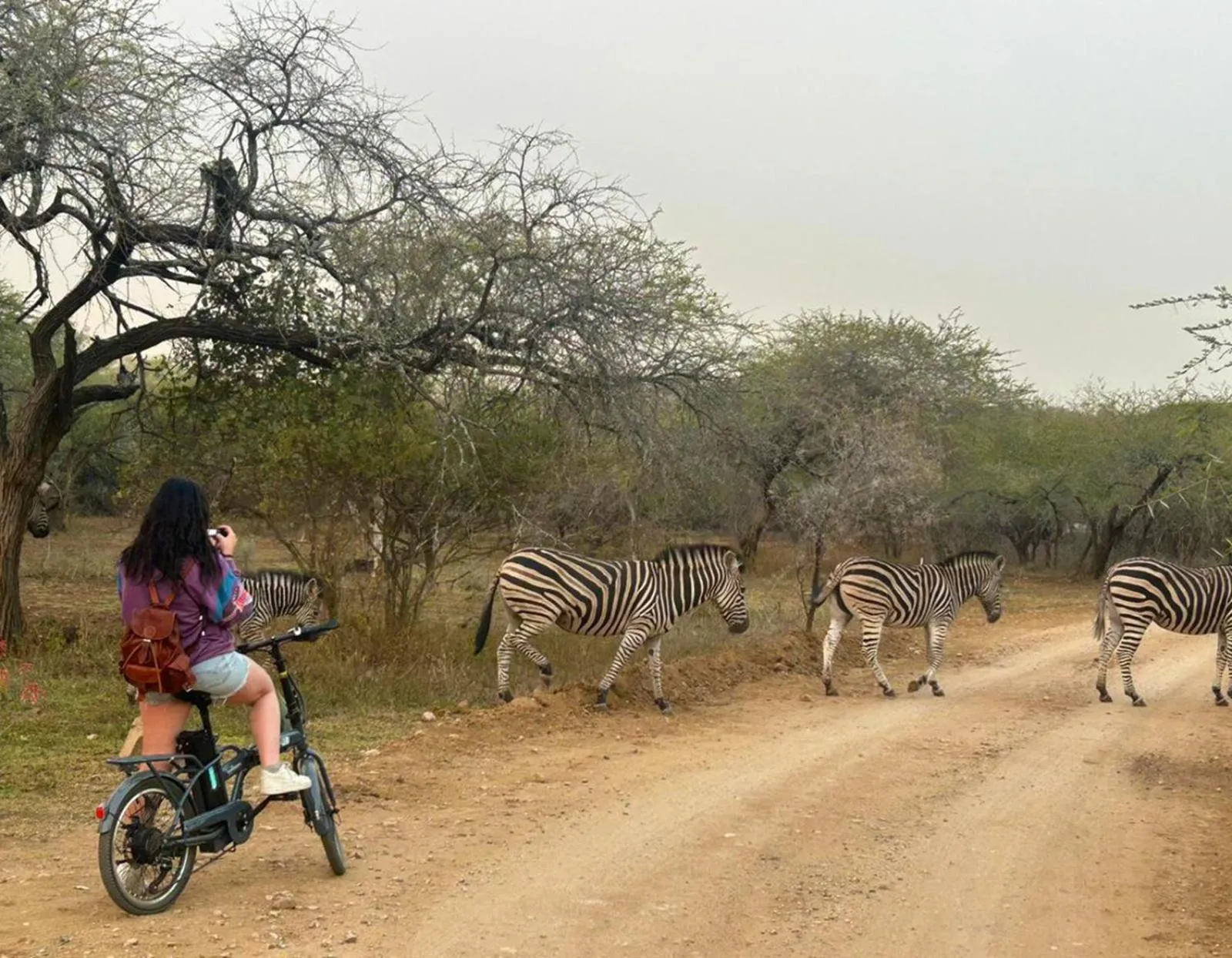 Activities in Kruger Park Hostel