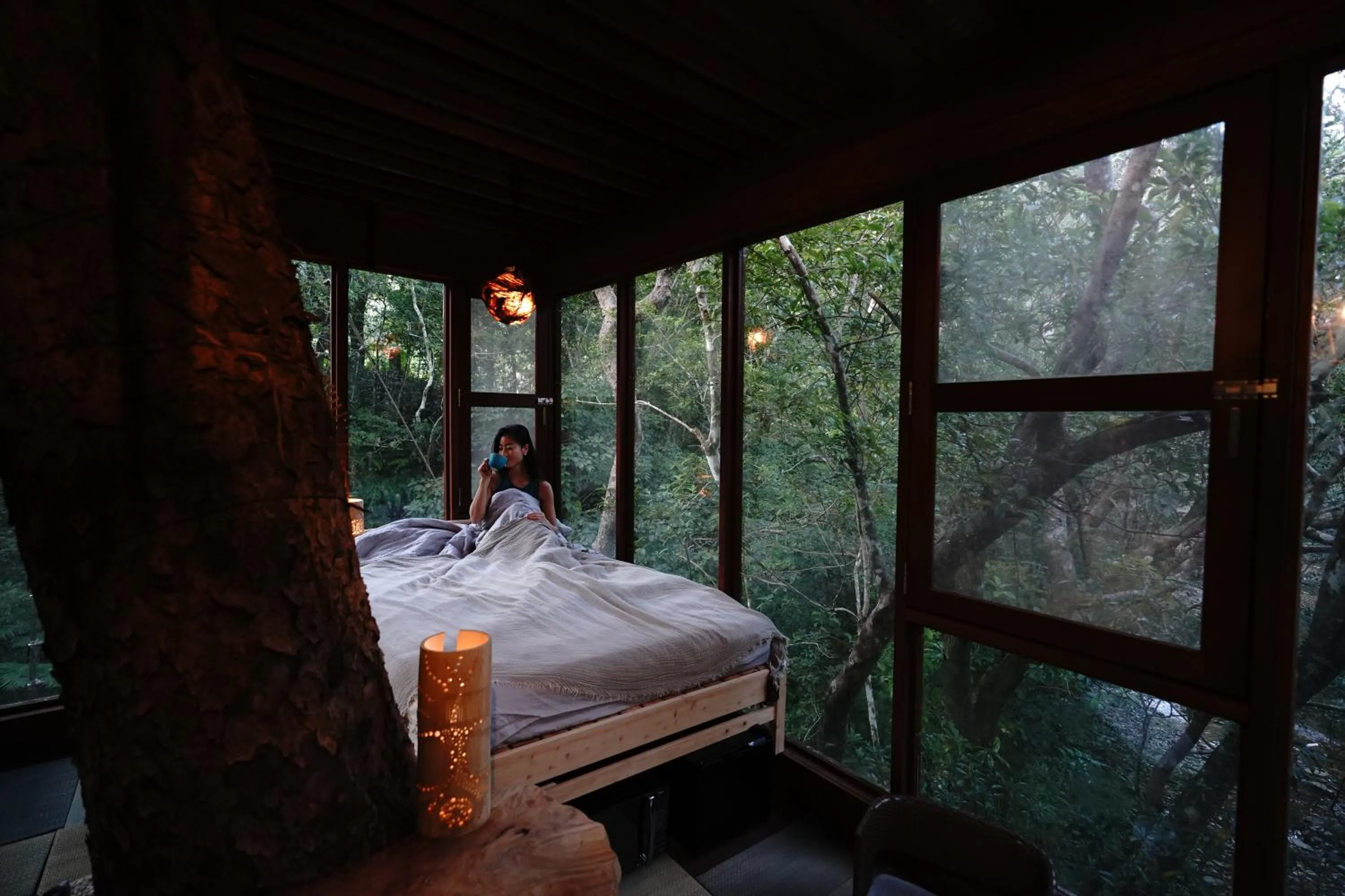 Treeful Treehouse Sustainable Resort Okinawa