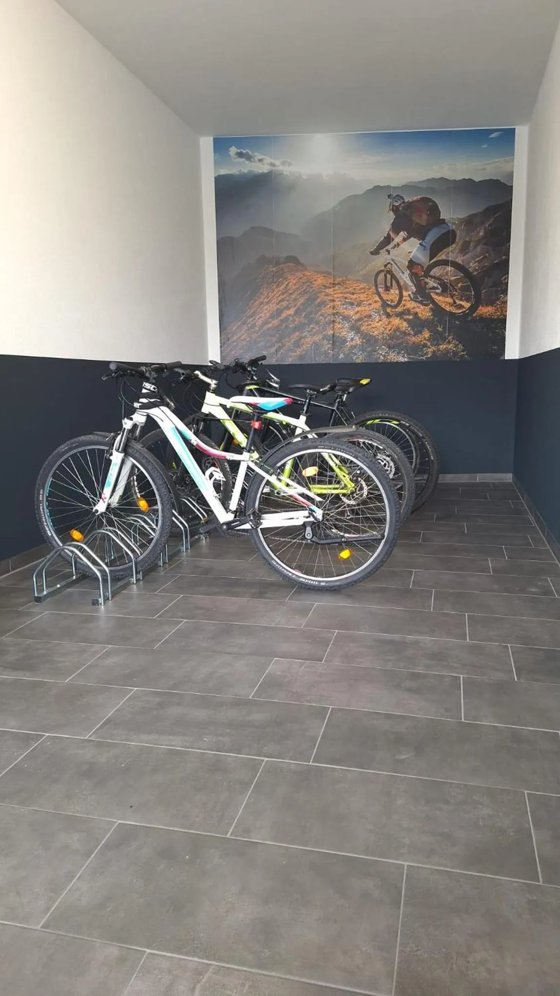 Cycling in Boardinghouse Plattling