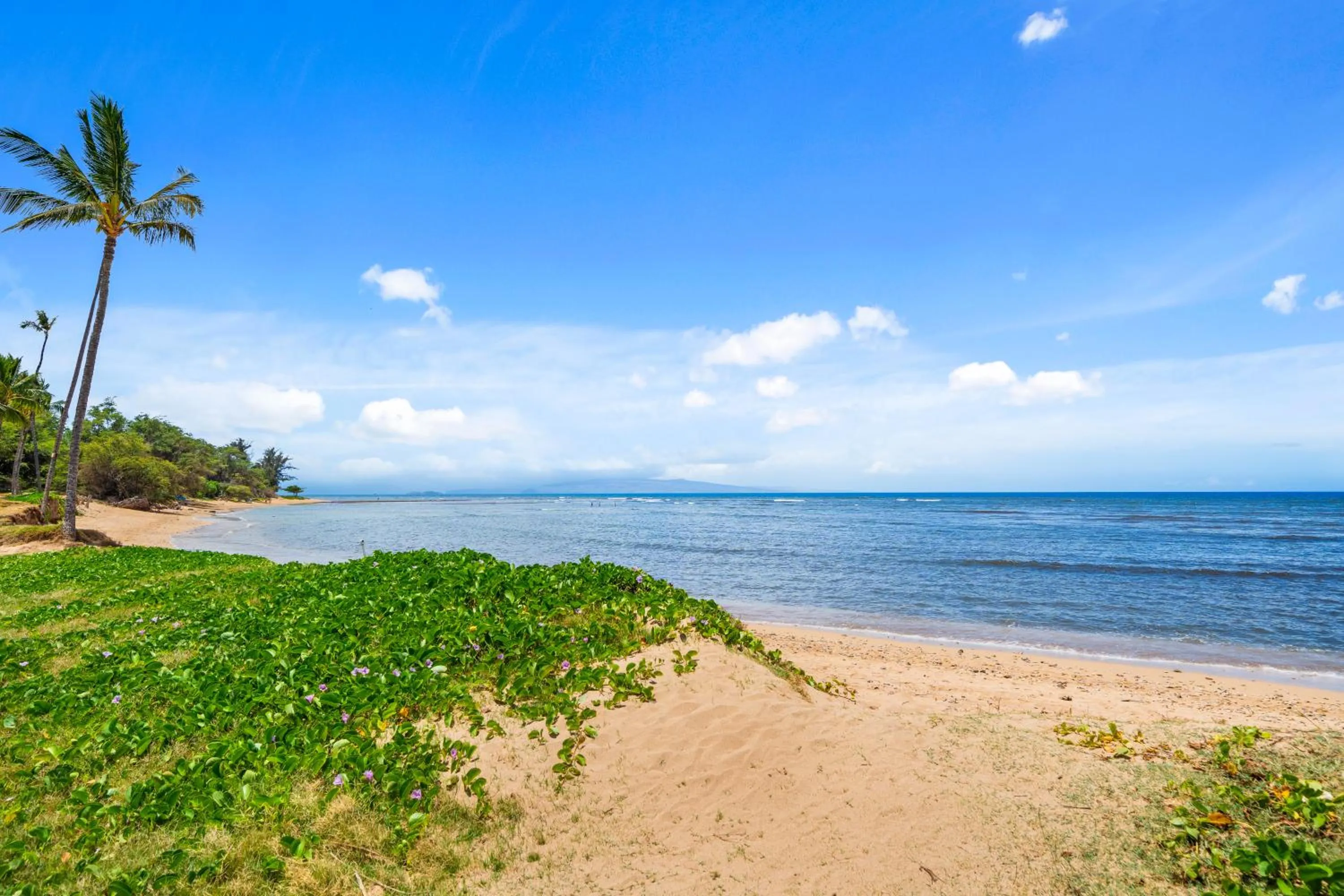 Day in Maui Schooner Resort