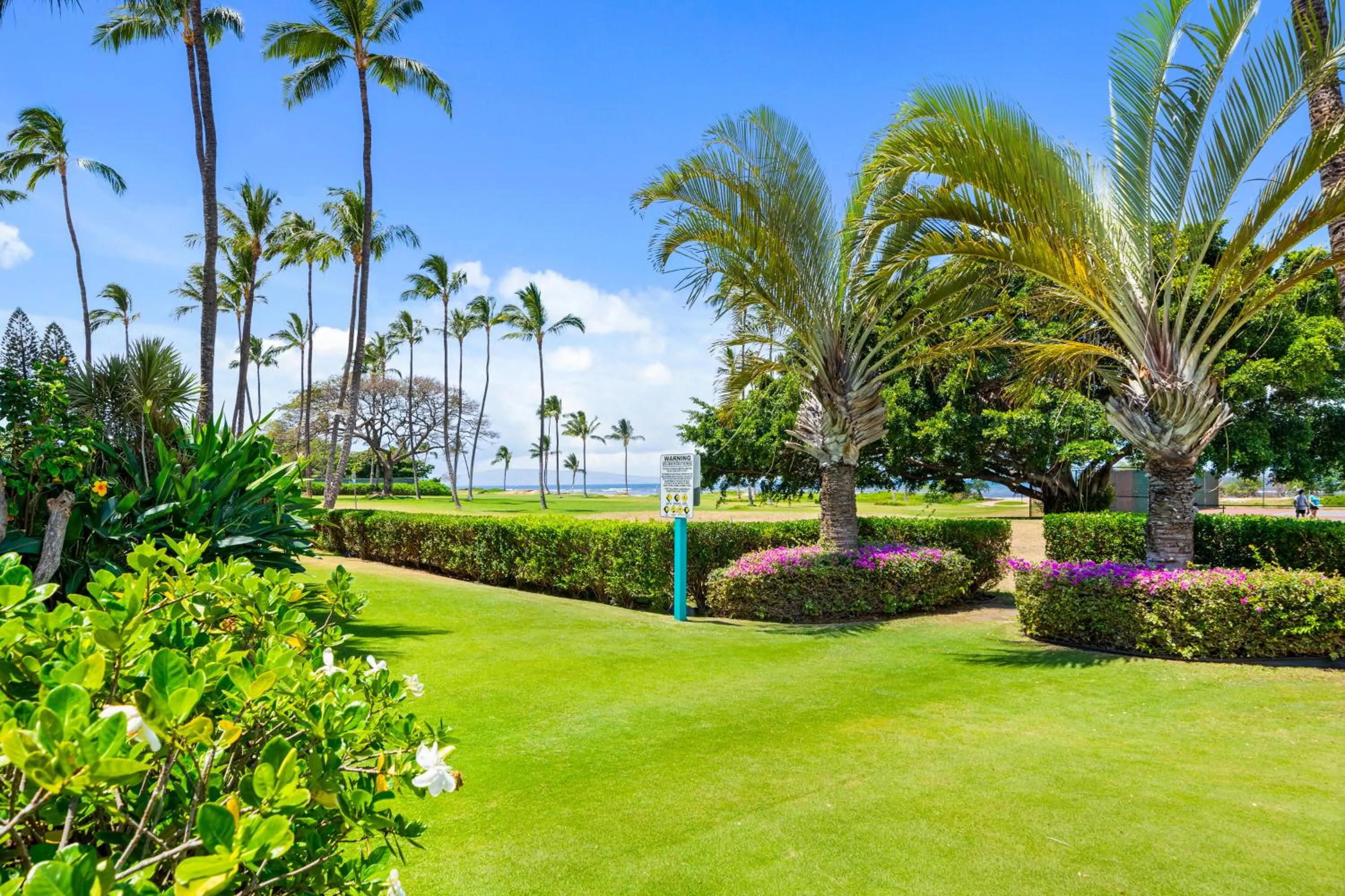 Spring in Maui Schooner Resort