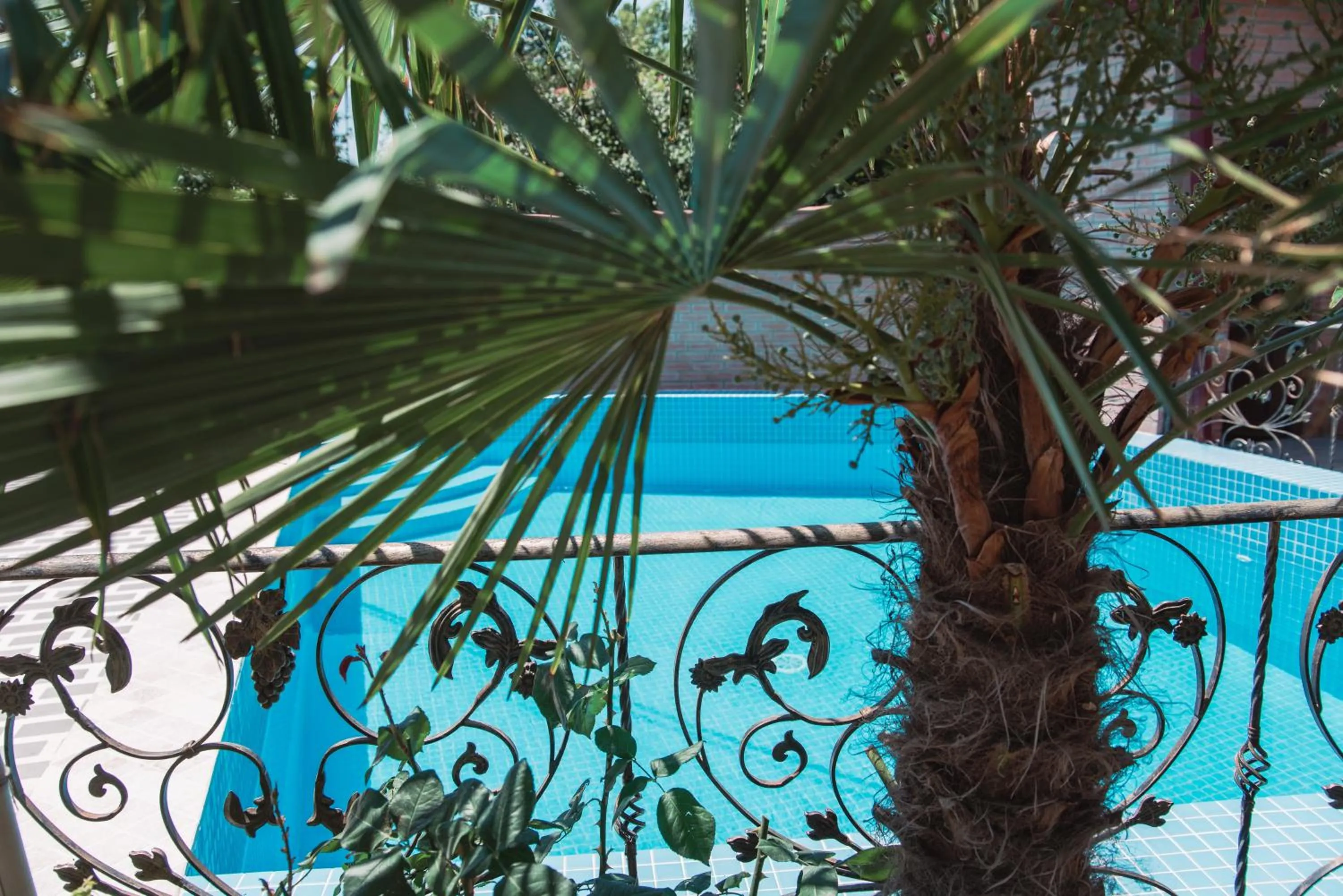 Swimming pool in My Georgian village