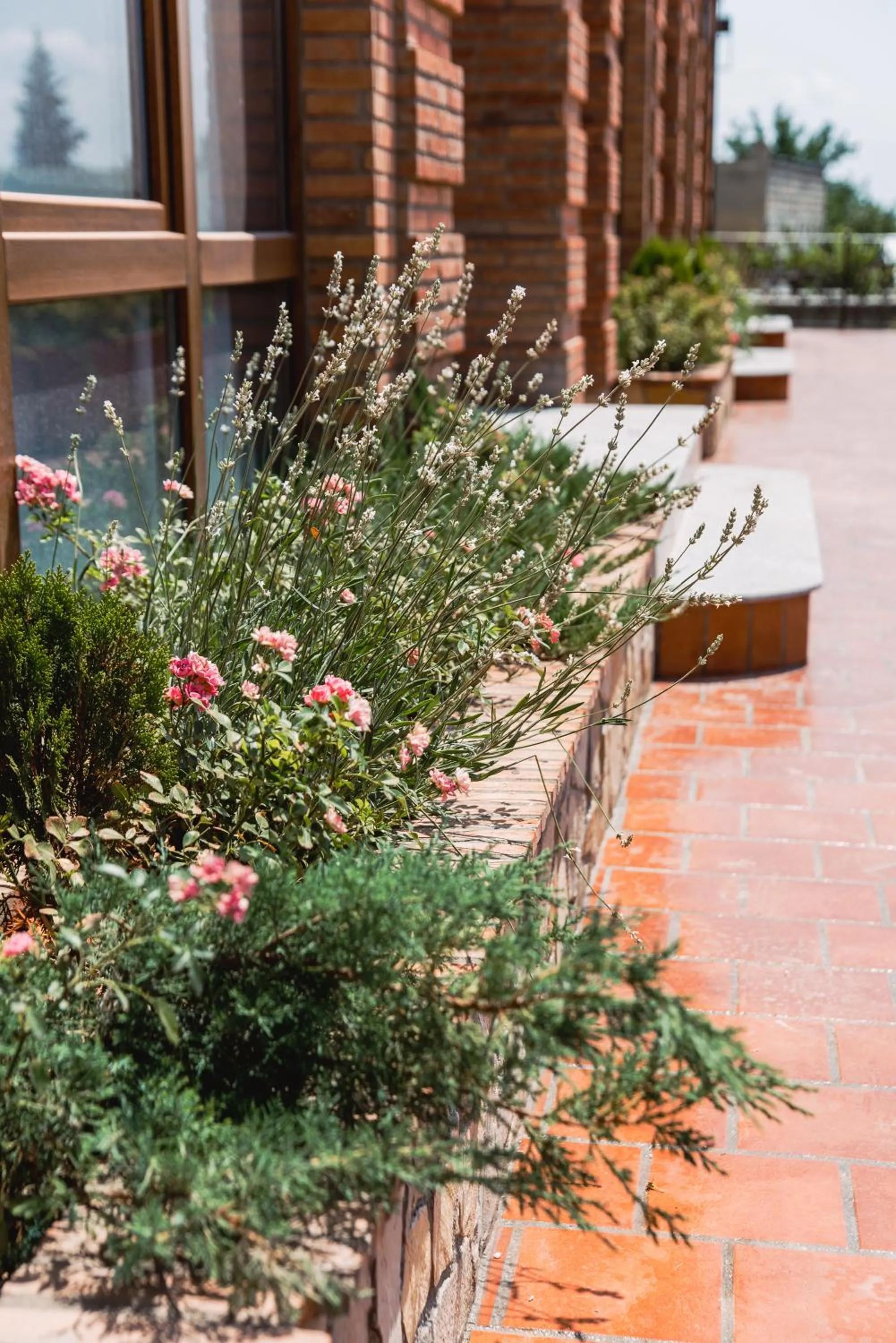 Garden in My Georgian village