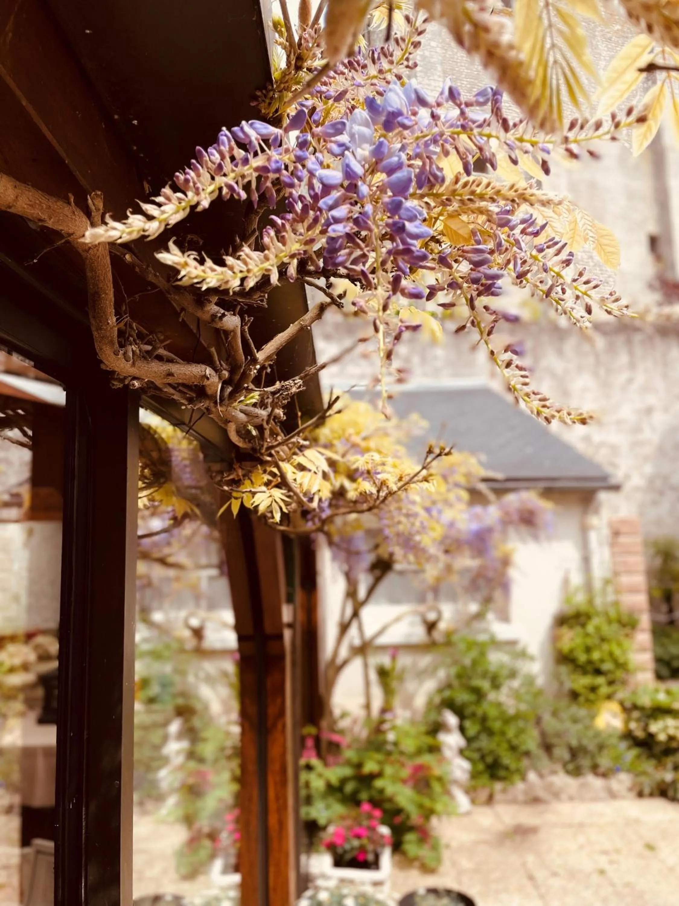Patio in Hotel de la Sologne