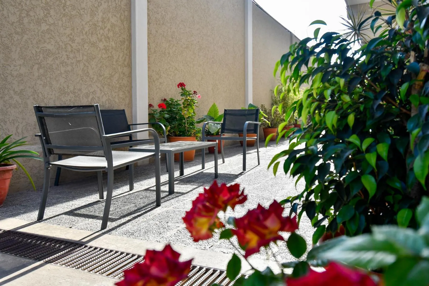 Patio in Ref Apart & Hotel