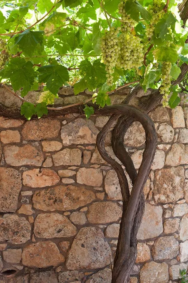 Notos Hotel Kardamili