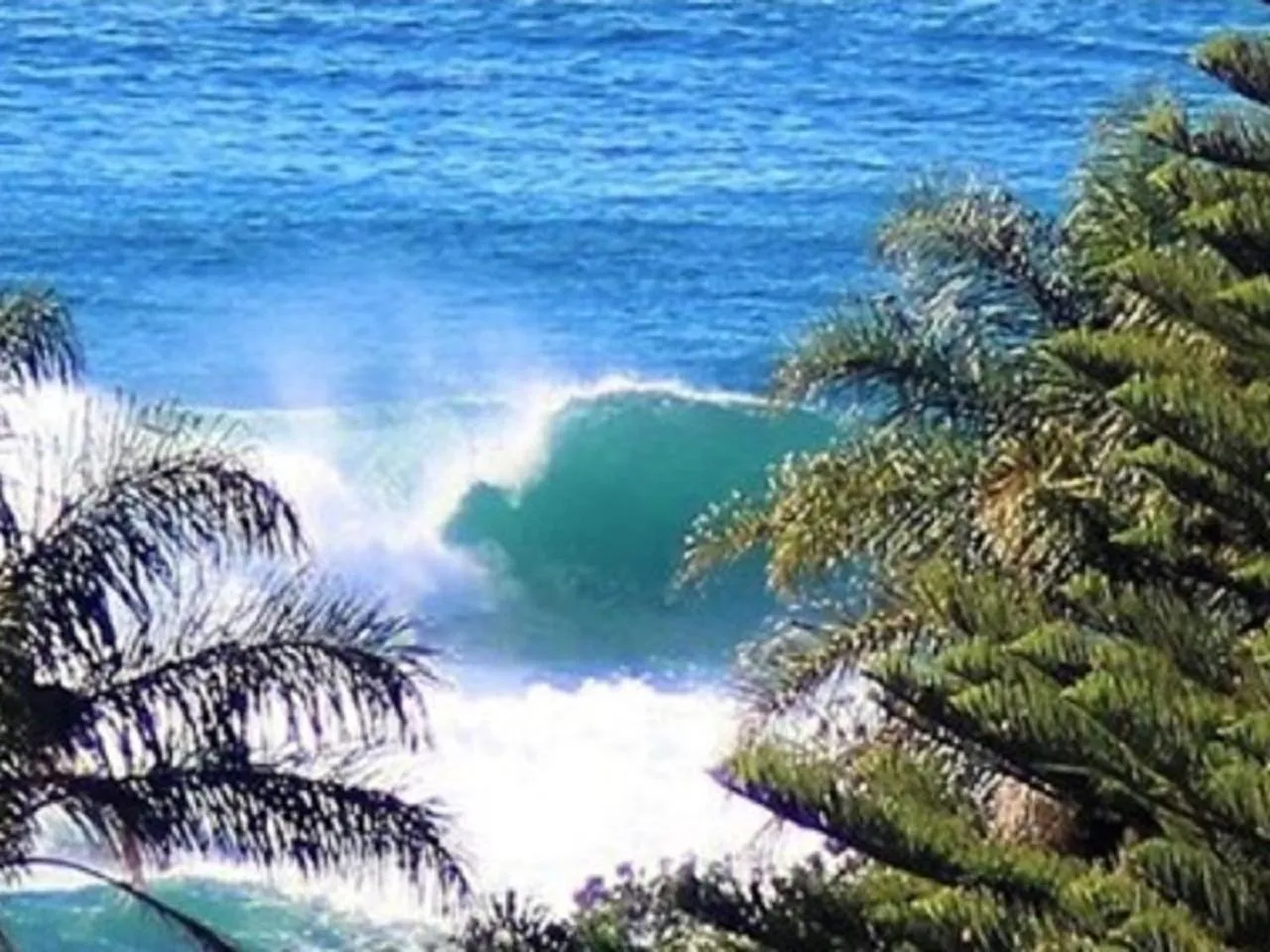 Mollymook Ocean View Motel - Welcoming Guests 18 Years and Older
