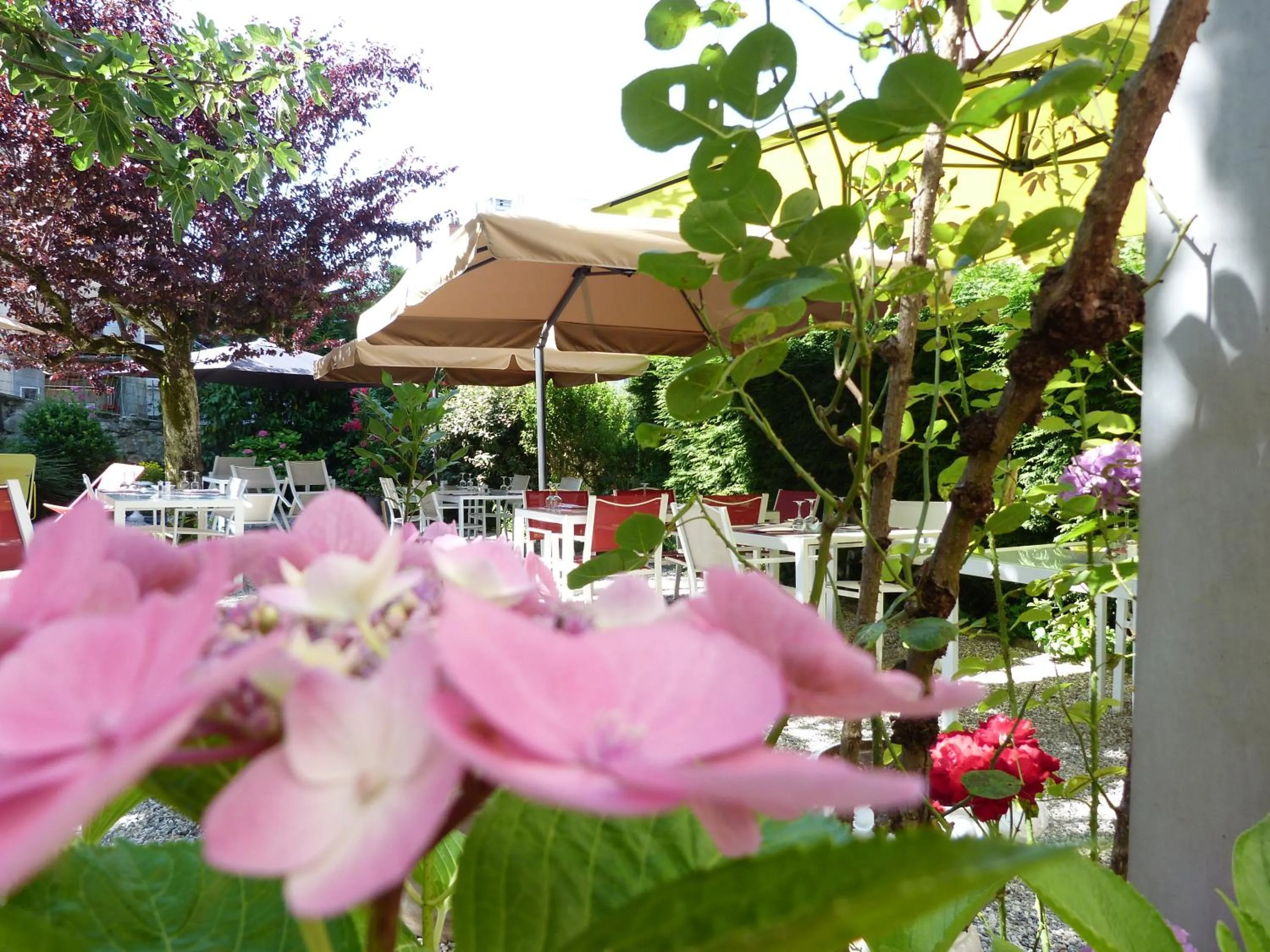 Garden in Hôtel Gallia