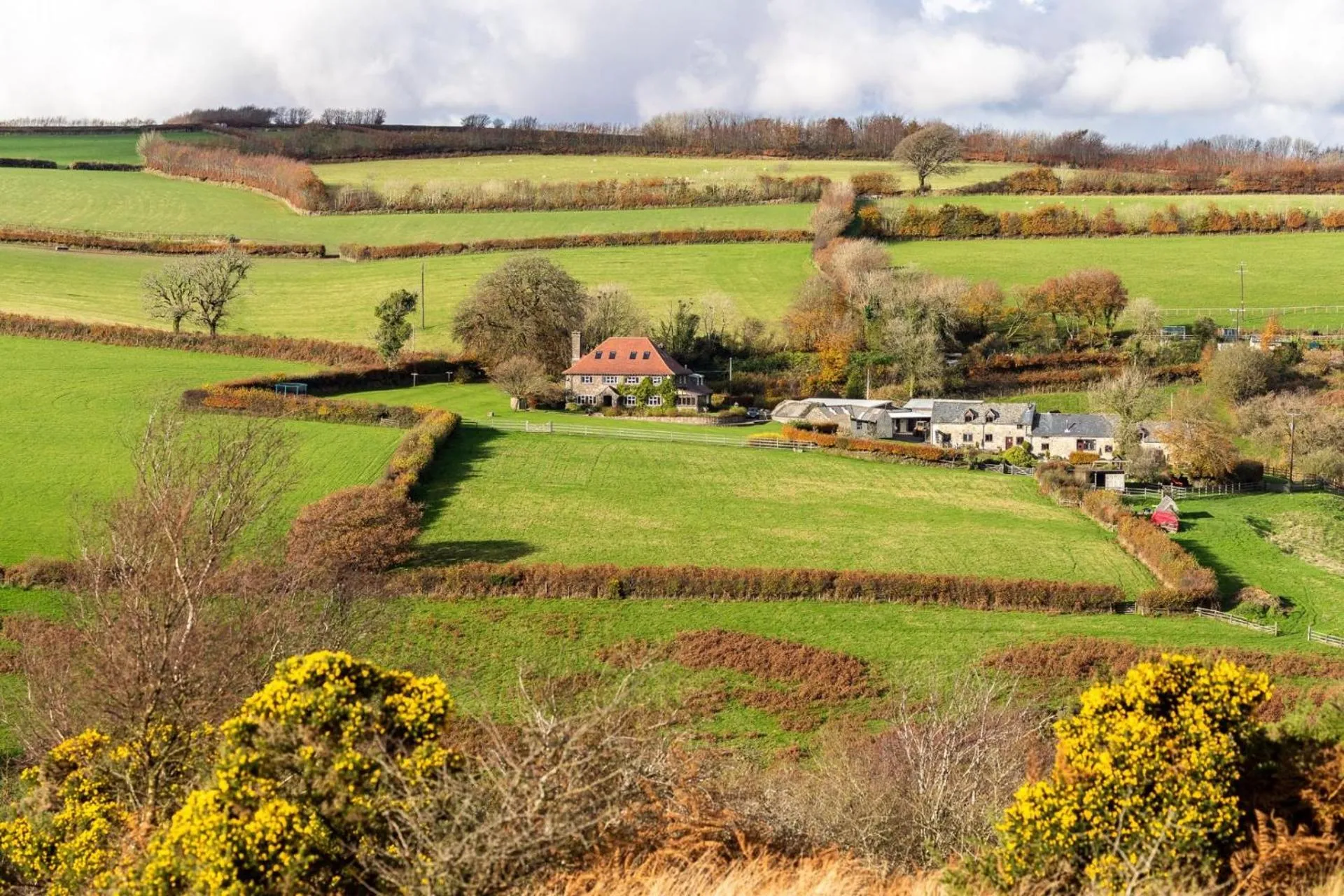 West Hollowcombe Farm Cottages - full site booking