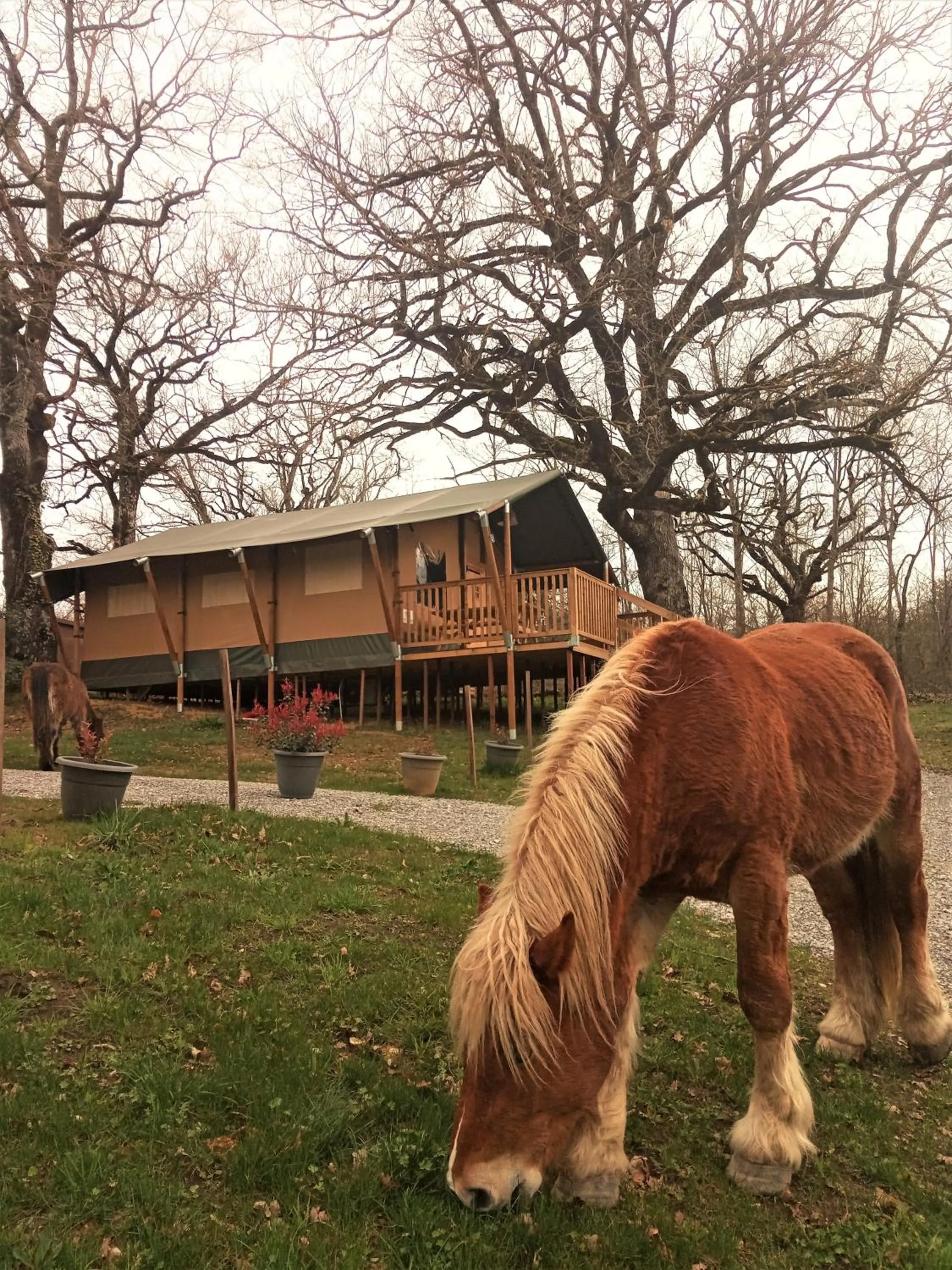 Garden in CAMPING ETXARRI