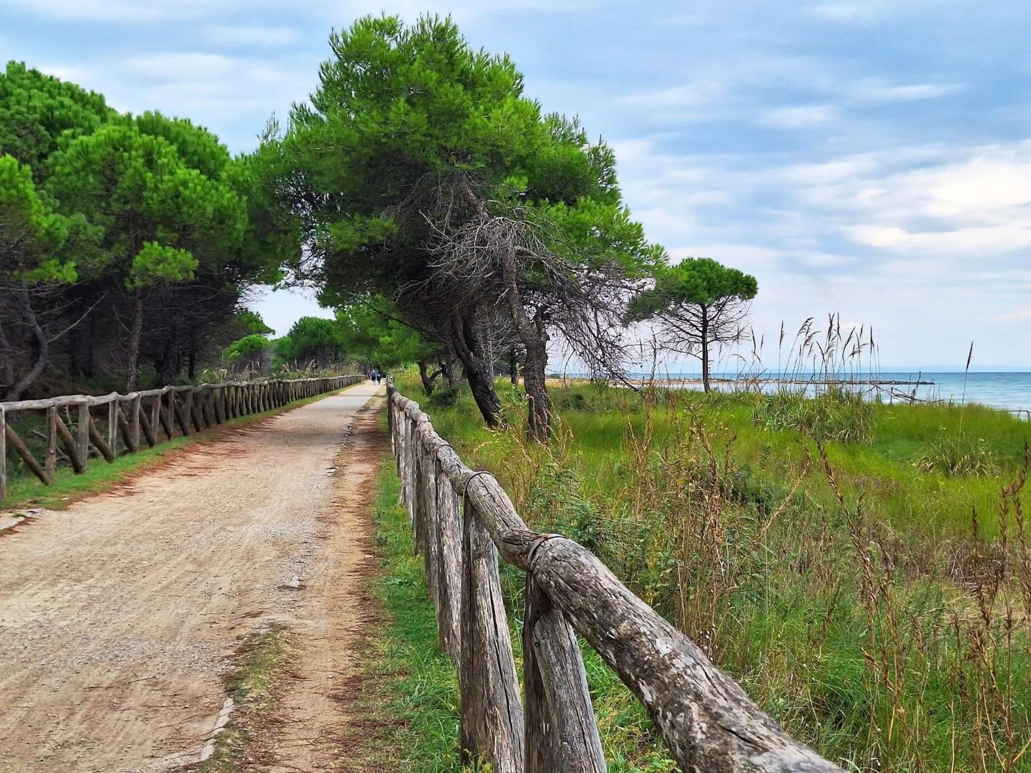 Summer in Bright sea front apartment with terrace-Beahost