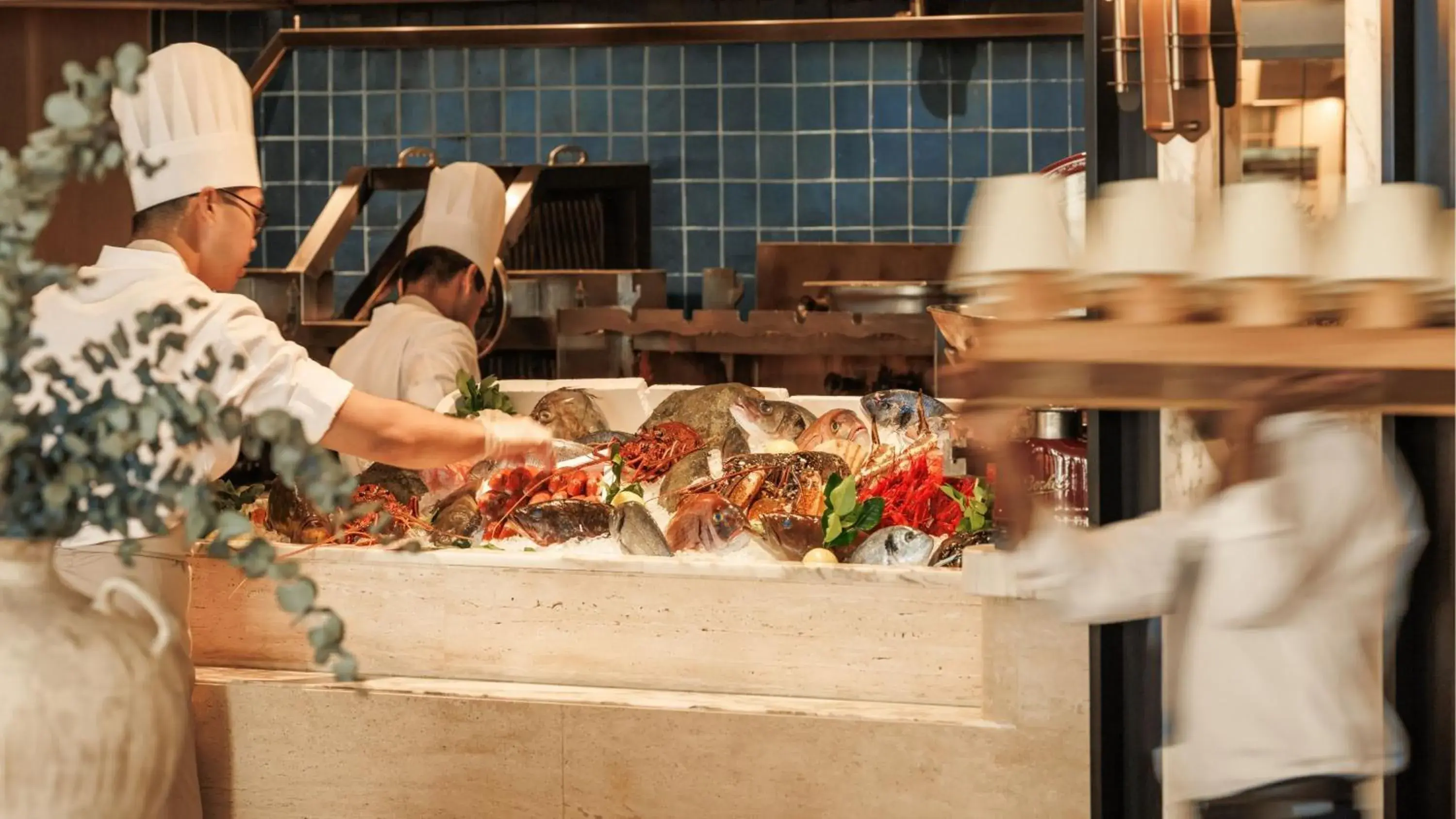 Restaurant/places to eat in Jumeirah Marsa Al Arab Dubai Restaurant/places to eat in Jumeirah Marsa Al Arab Dubai