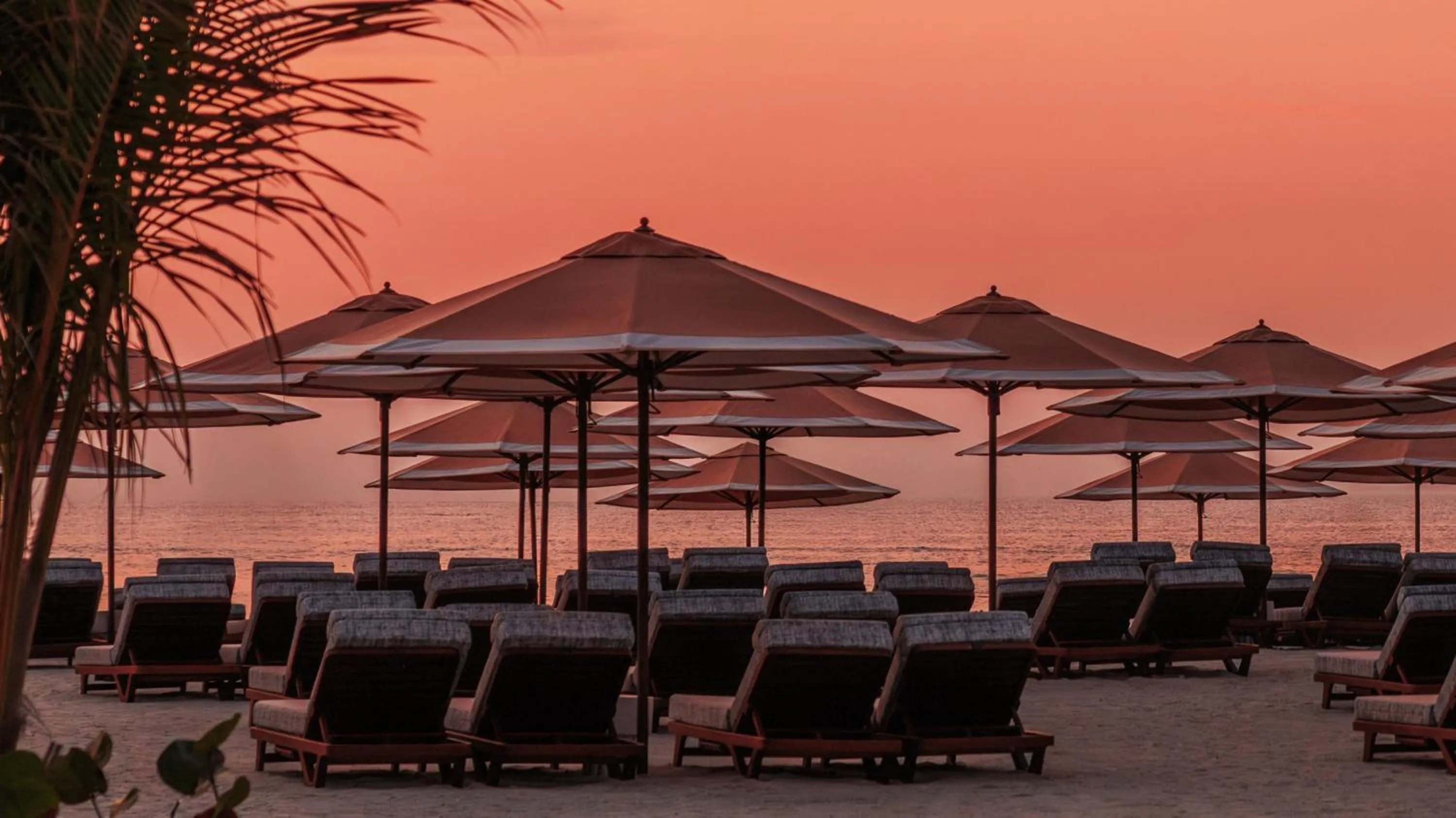 Restaurant/places to eat in Jumeirah Marsa Al Arab Dubai