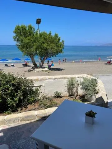 Natural landscape in Alexander Beach Hotel