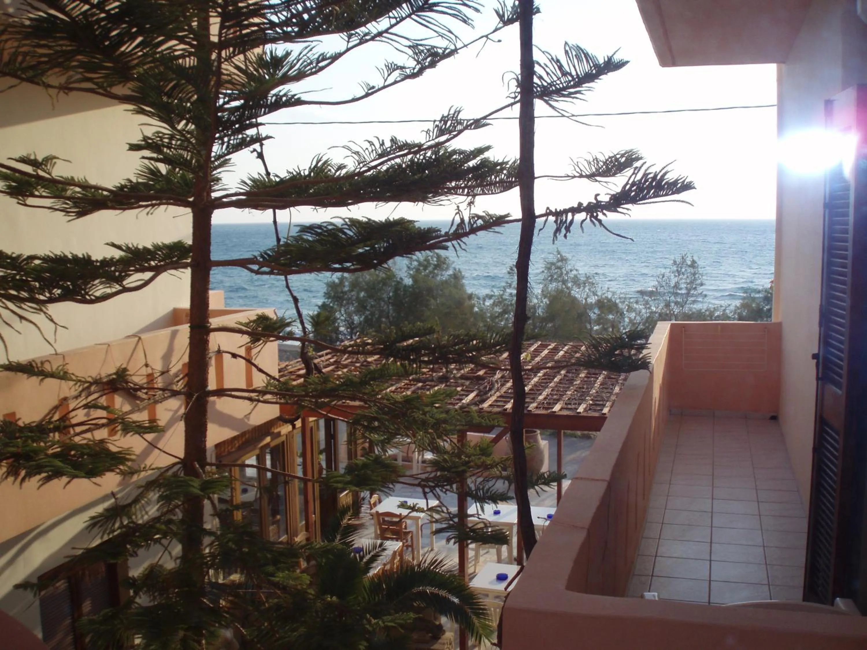 Balcony/Terrace in Alexander Beach Hotel