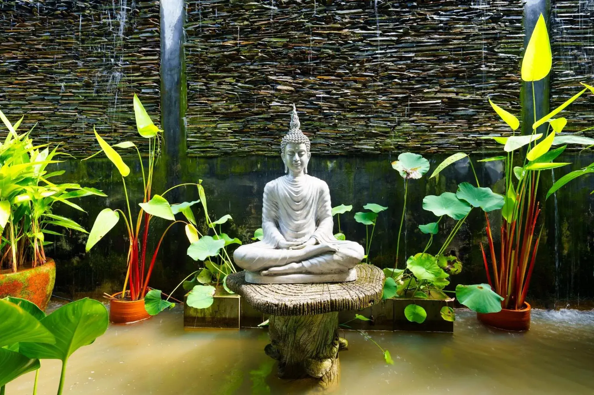 Spa and wellness centre/facilities in Yao Bada Badoo Boutique Resort Spa and wellness centre/facilities in Yao Bada Badoo Boutique Resort