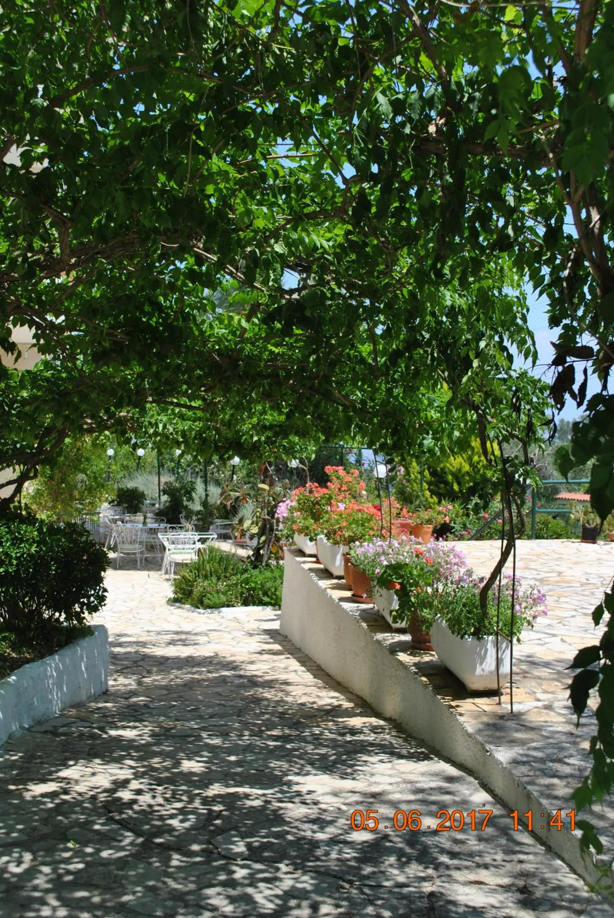Garden in Hotel Helios Splendid