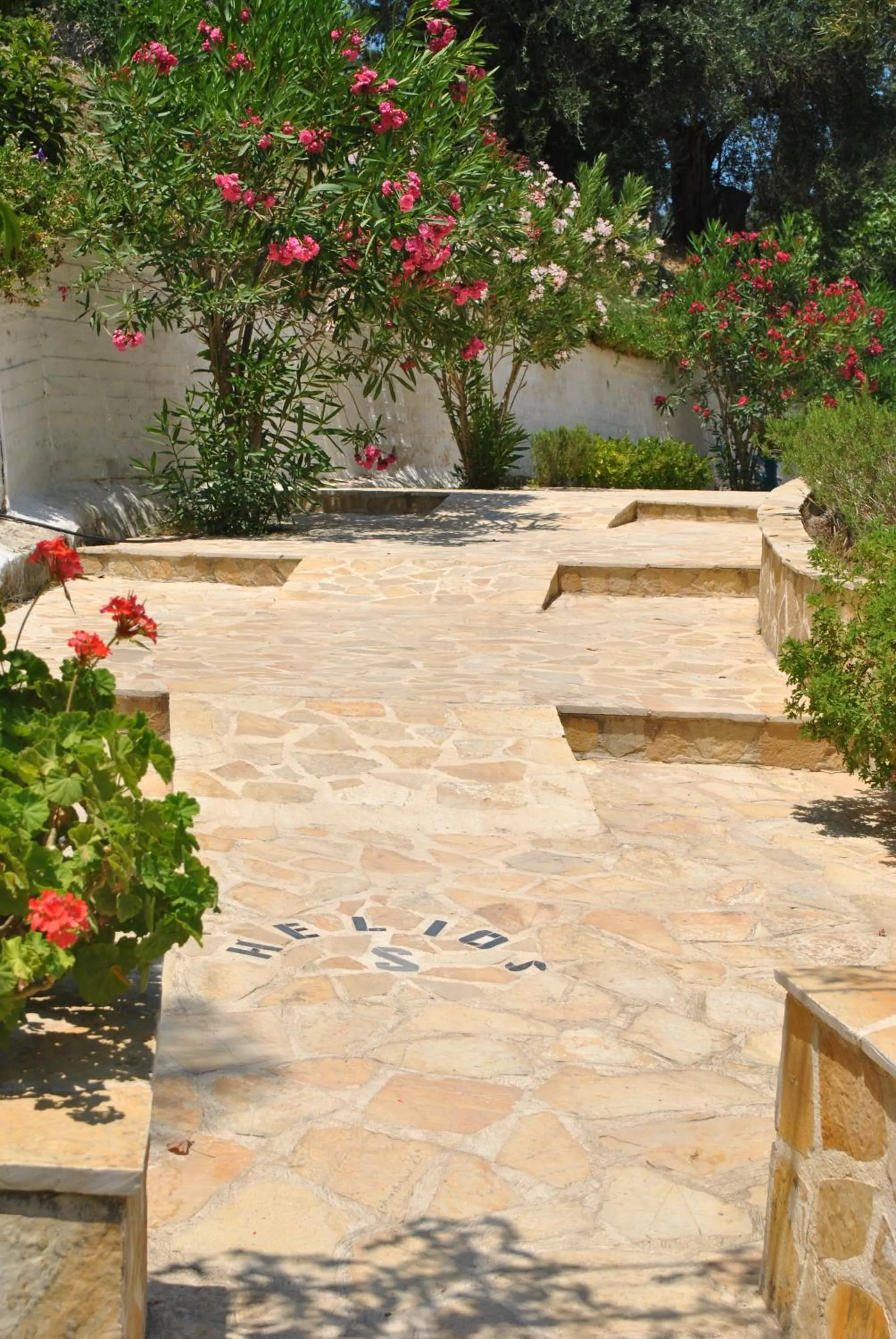 Area and facilities in Hotel Helios Splendid