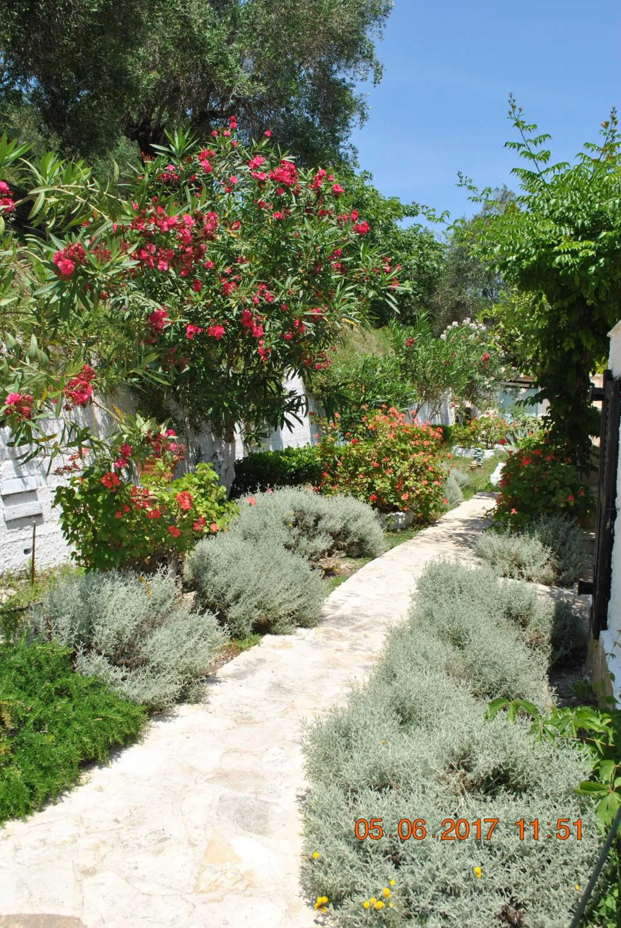 Garden in Hotel Helios Splendid