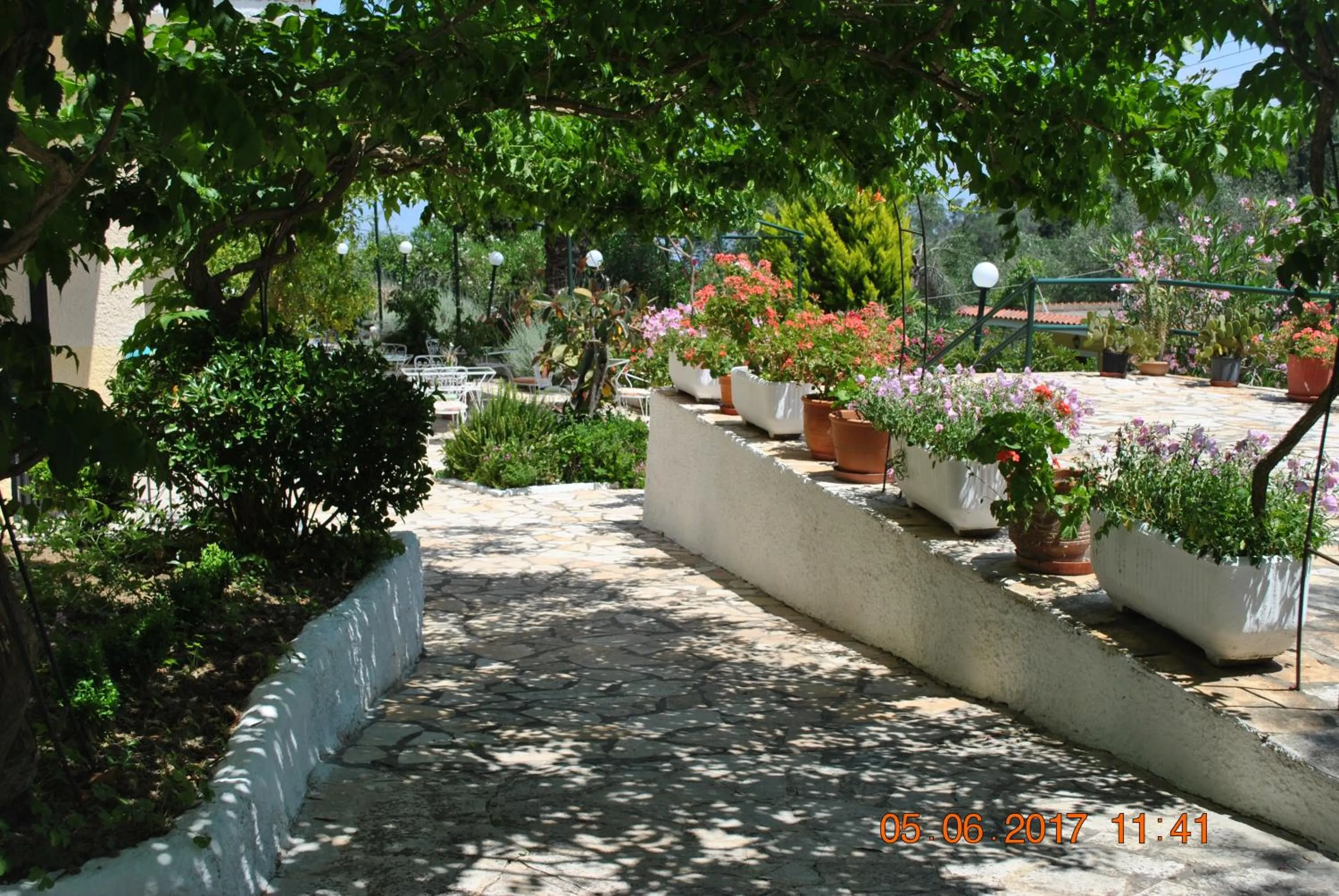 Garden in Hotel Helios Splendid