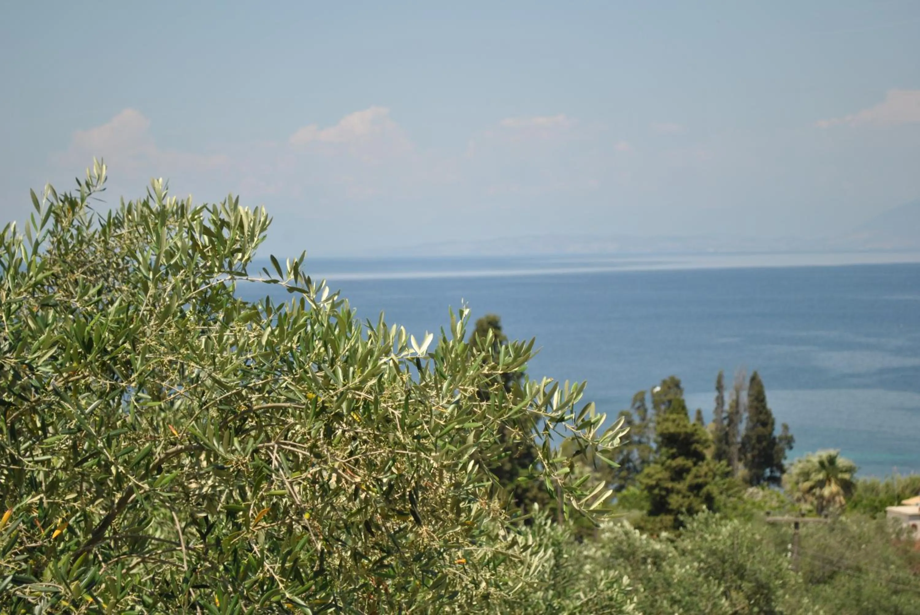 Sea view in Hotel Helios Splendid