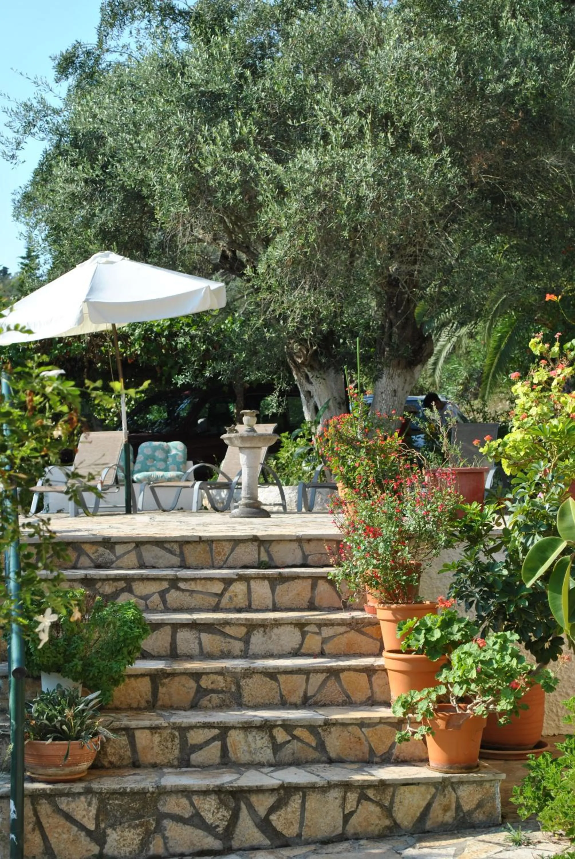 Solarium in Hotel Helios Splendid