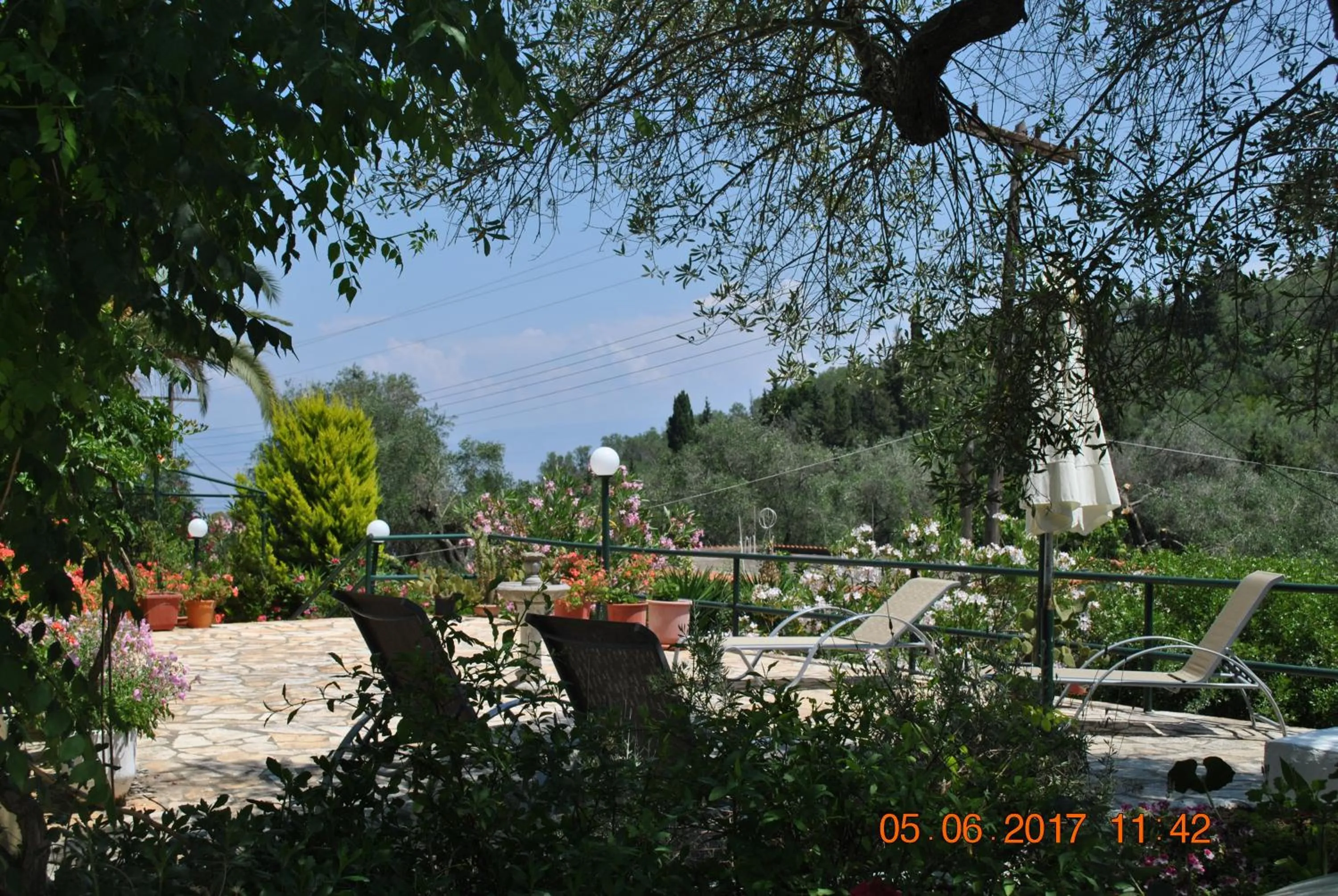 Area and facilities in Hotel Helios Splendid