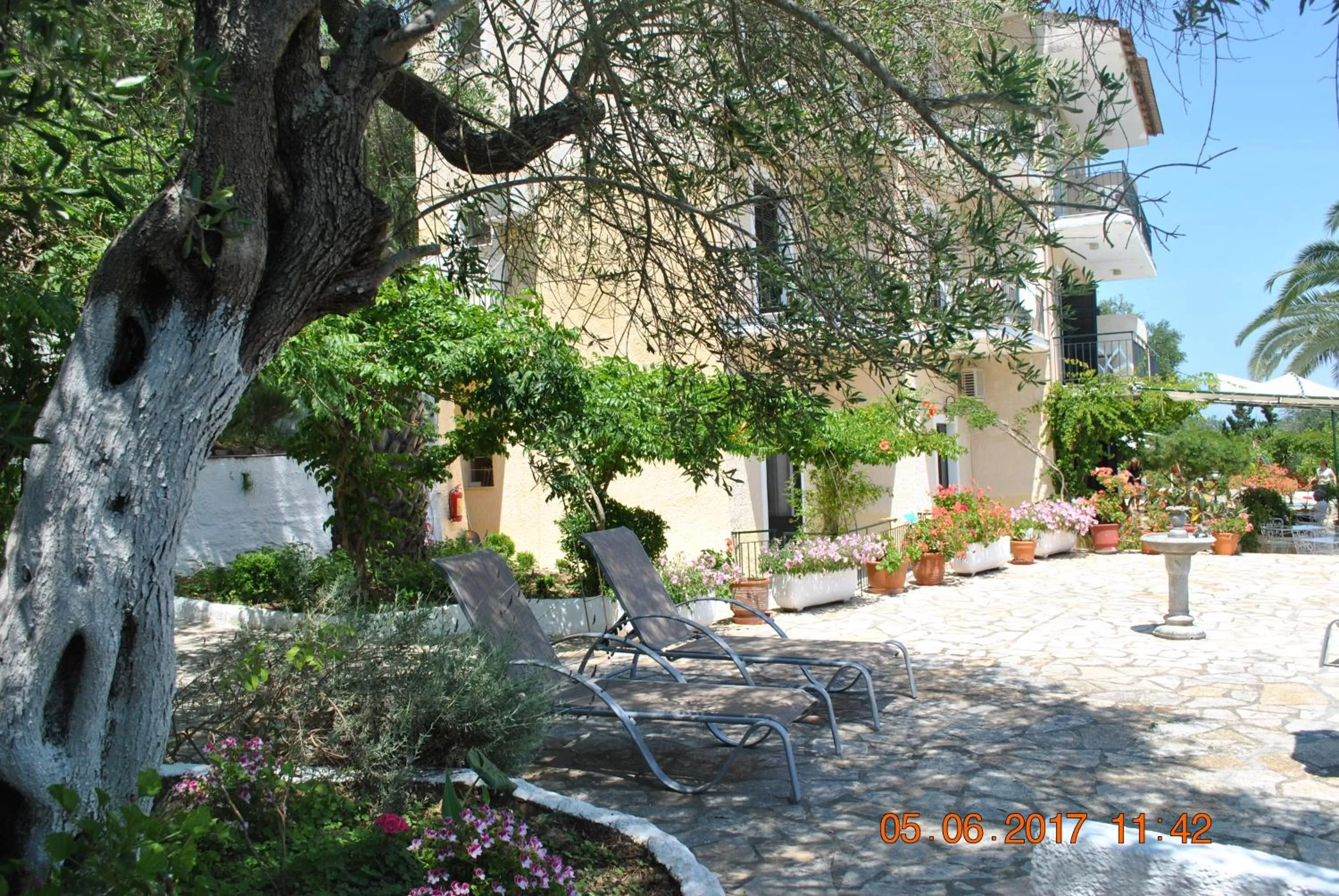 Area and facilities in Hotel Helios Splendid