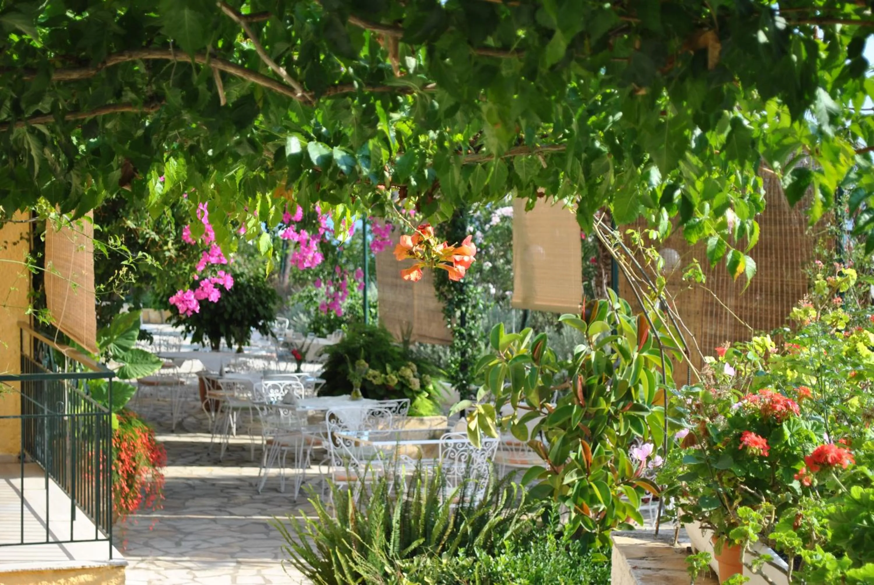 Breakfast in Hotel Helios Splendid