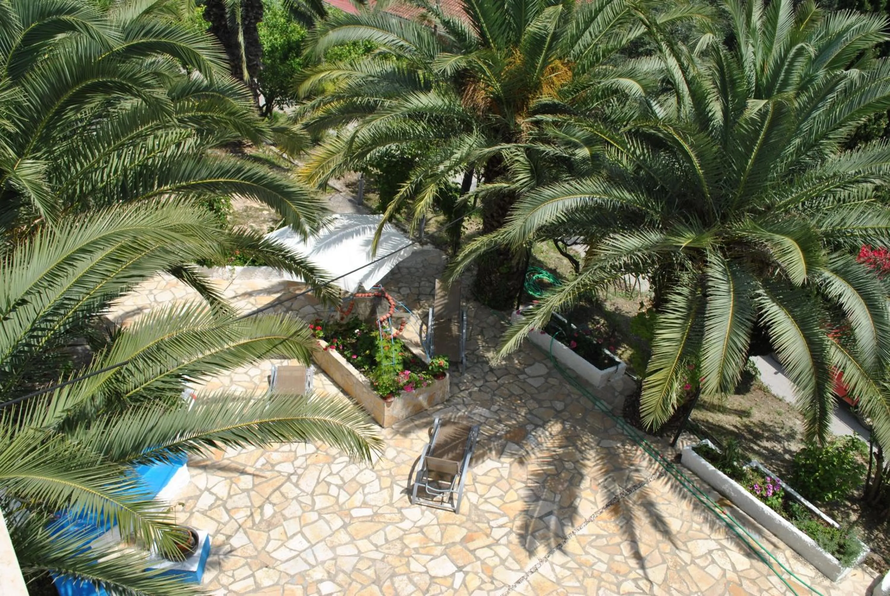 Garden view in Hotel Helios Splendid