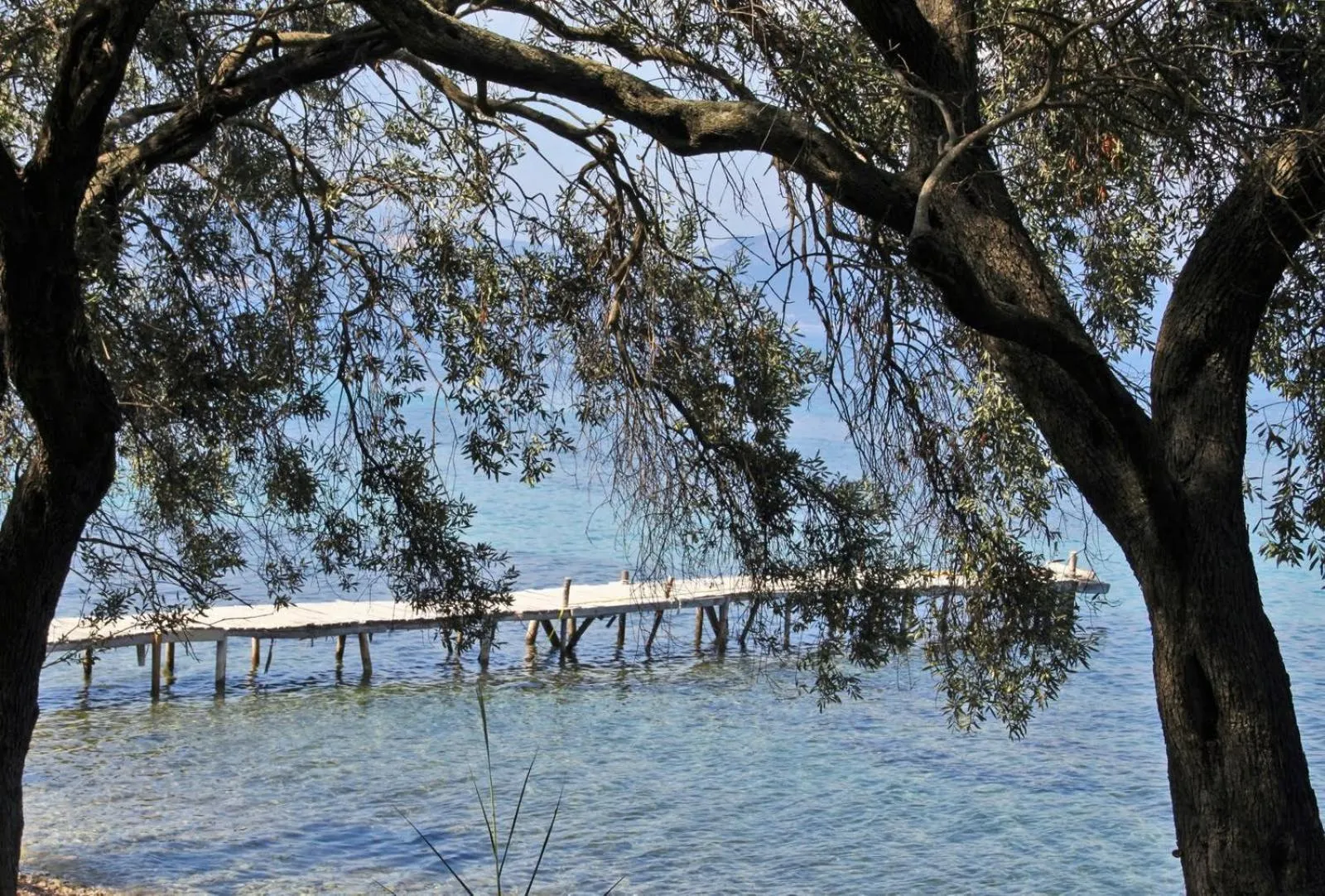 Beach in Hotel Helios Splendid